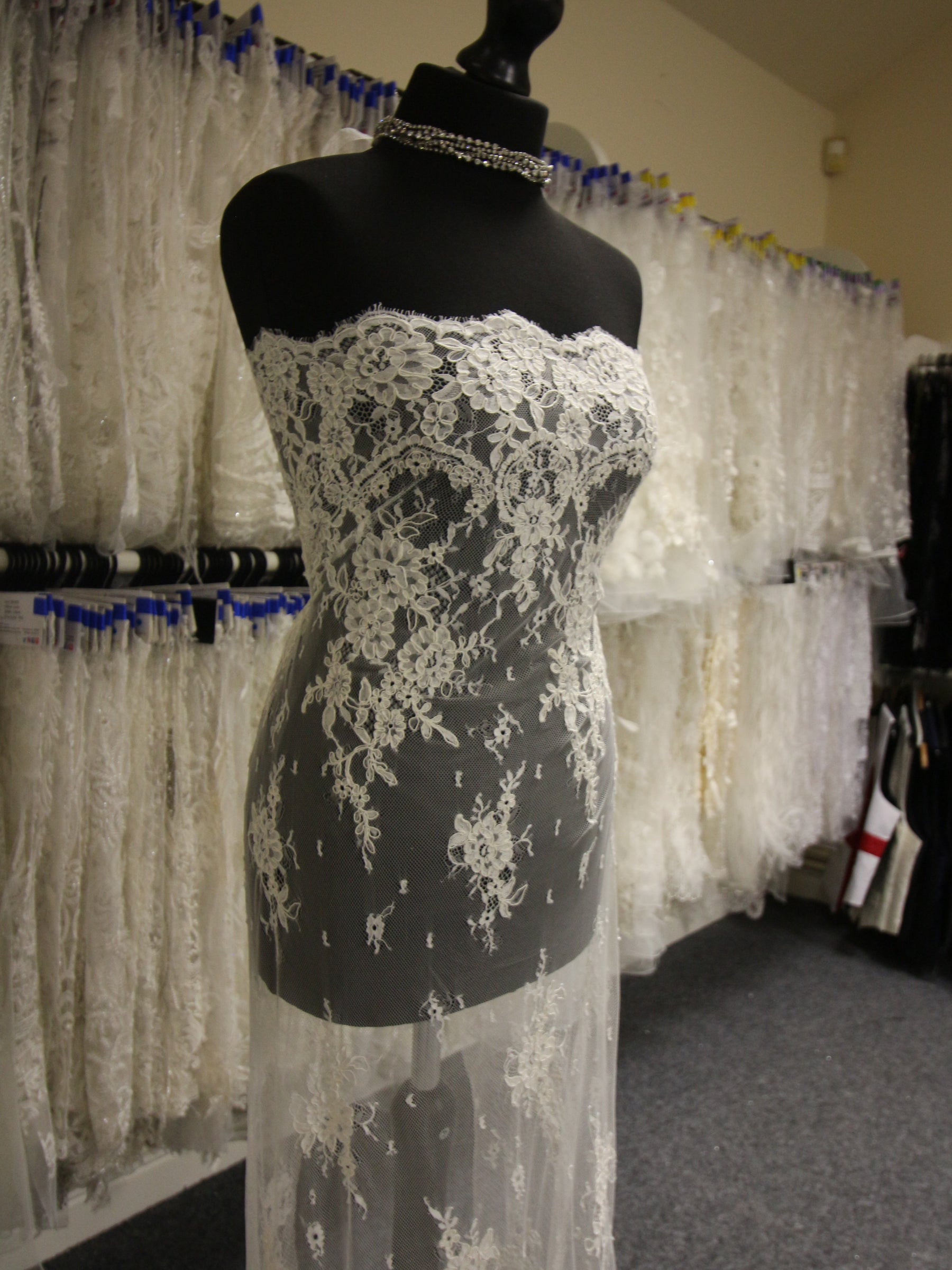 Ivory Corded Lace - Eloise