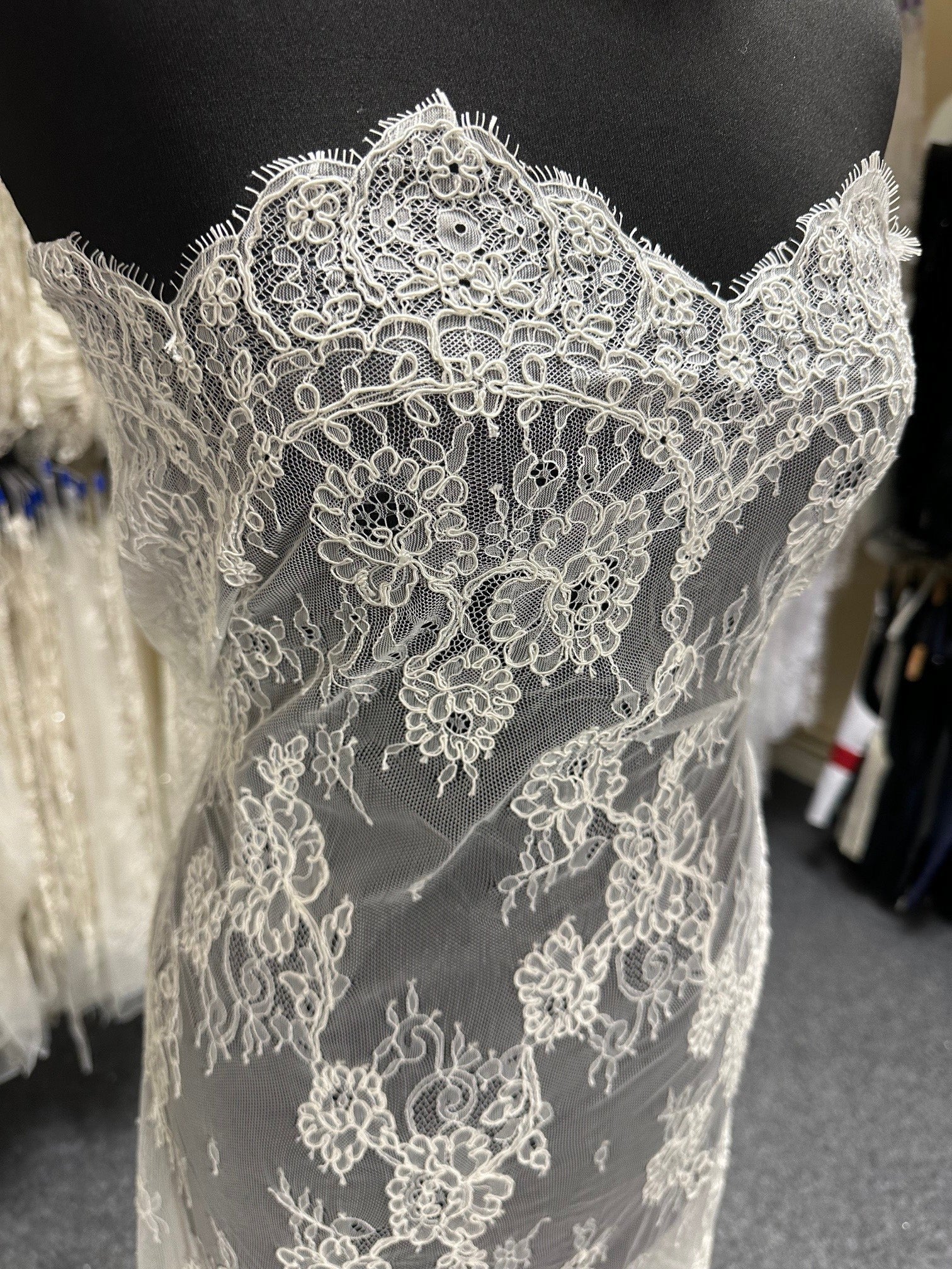 Ivory Corded Lace - Jasmine