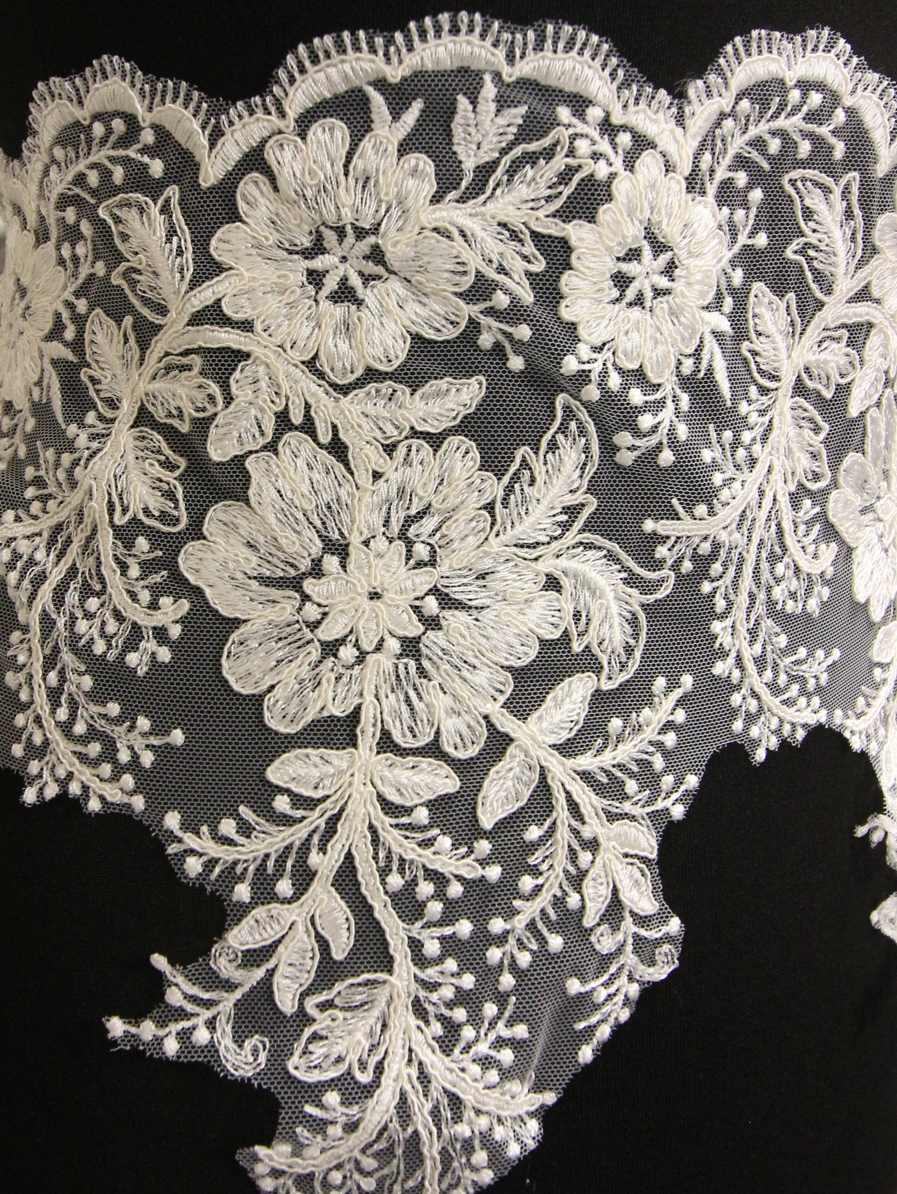 Ivory Corded Lace Trim - Wyoming