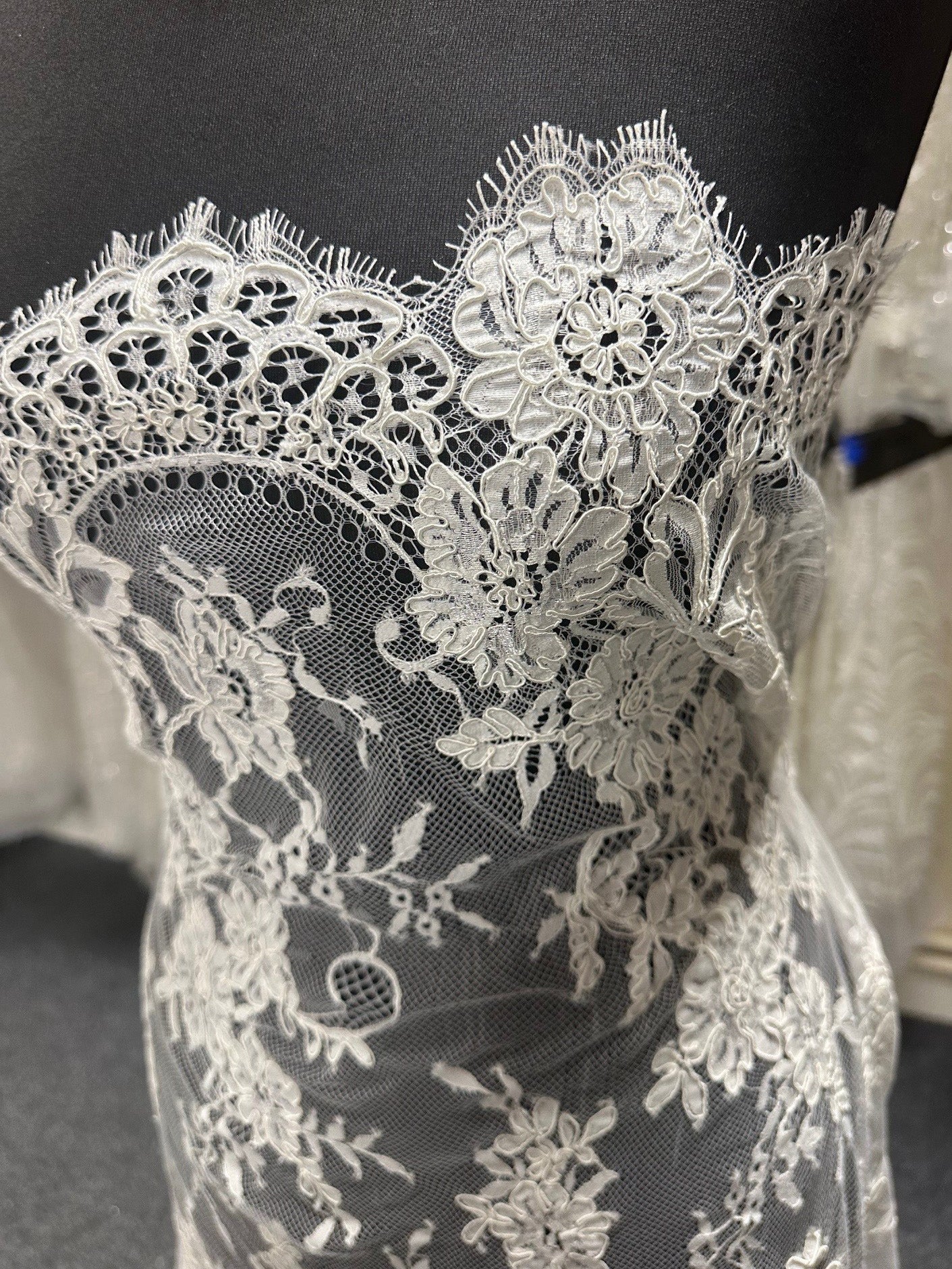 Ivory Corded Lace - Brogan