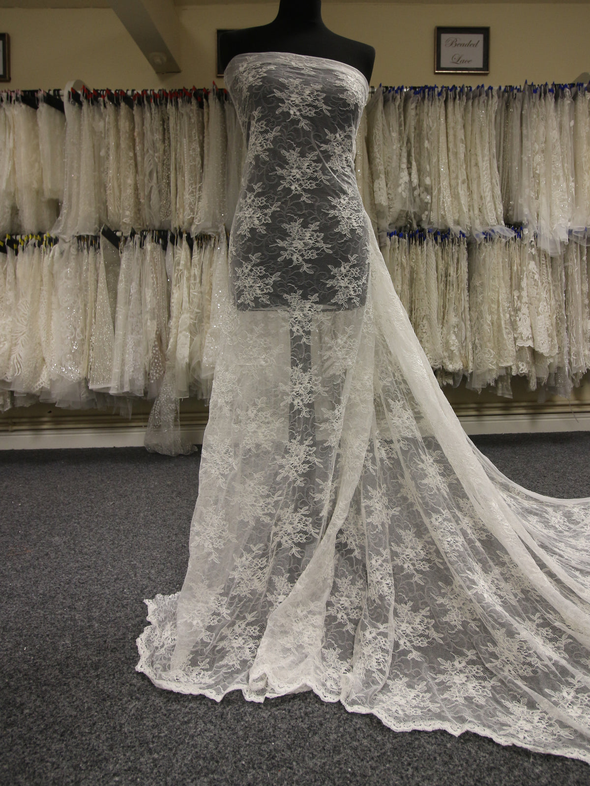 Ivory Corded Lace - Margaret