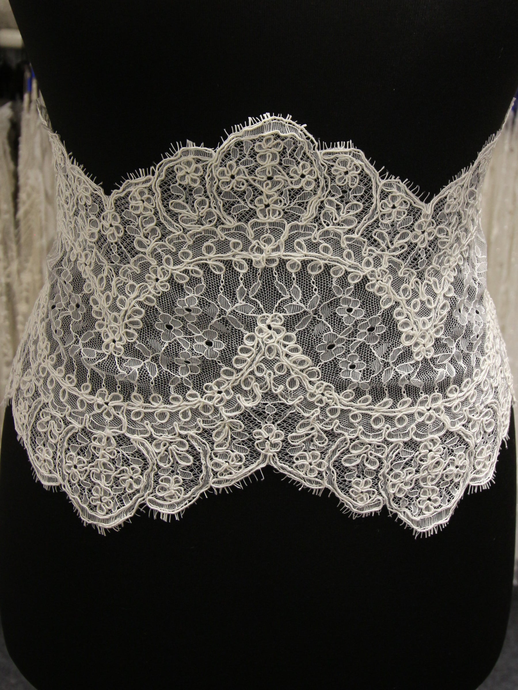 Ivory Corded Lace Trim - Amelia