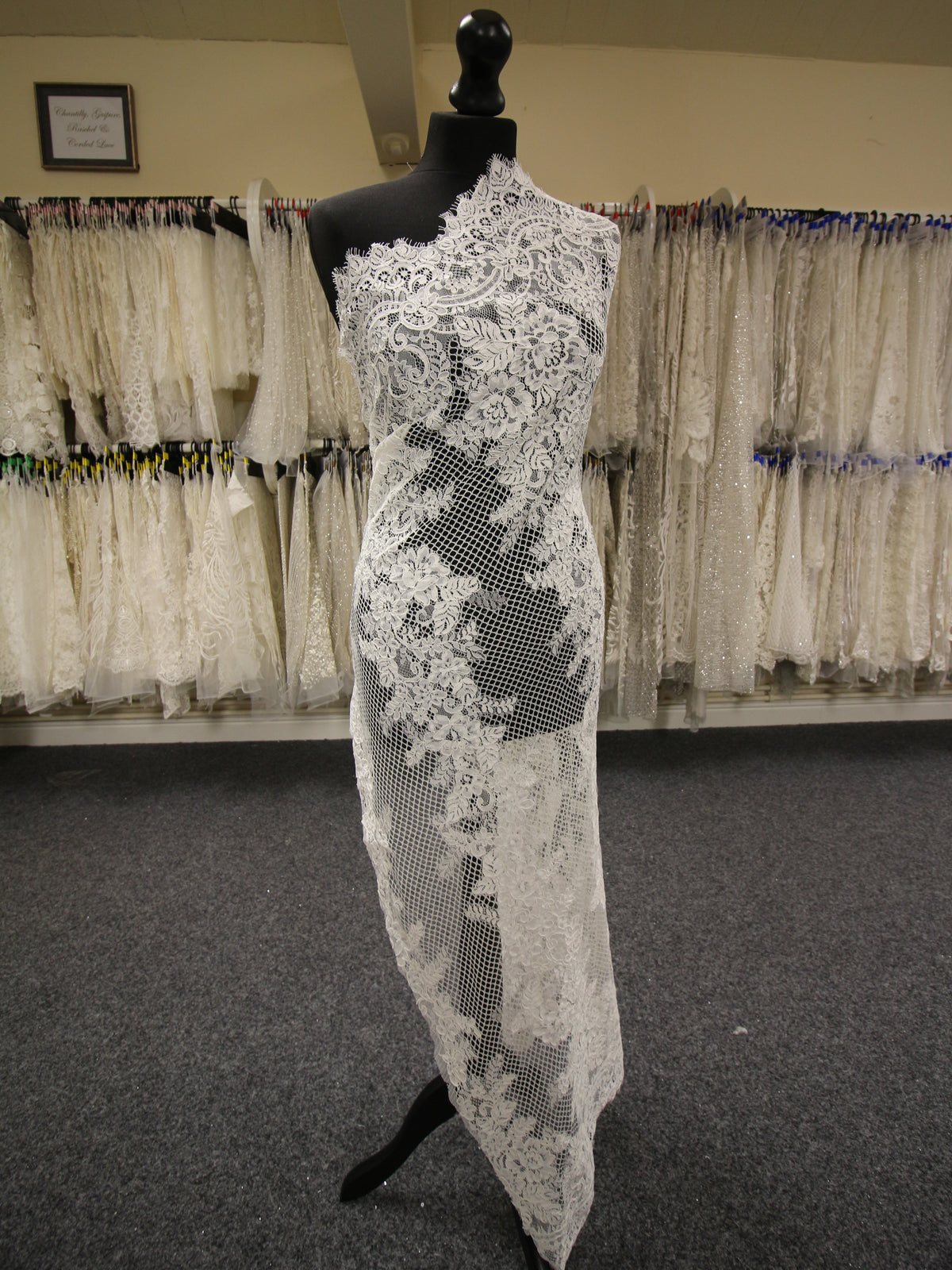 Ivory Corded Lace - Danka