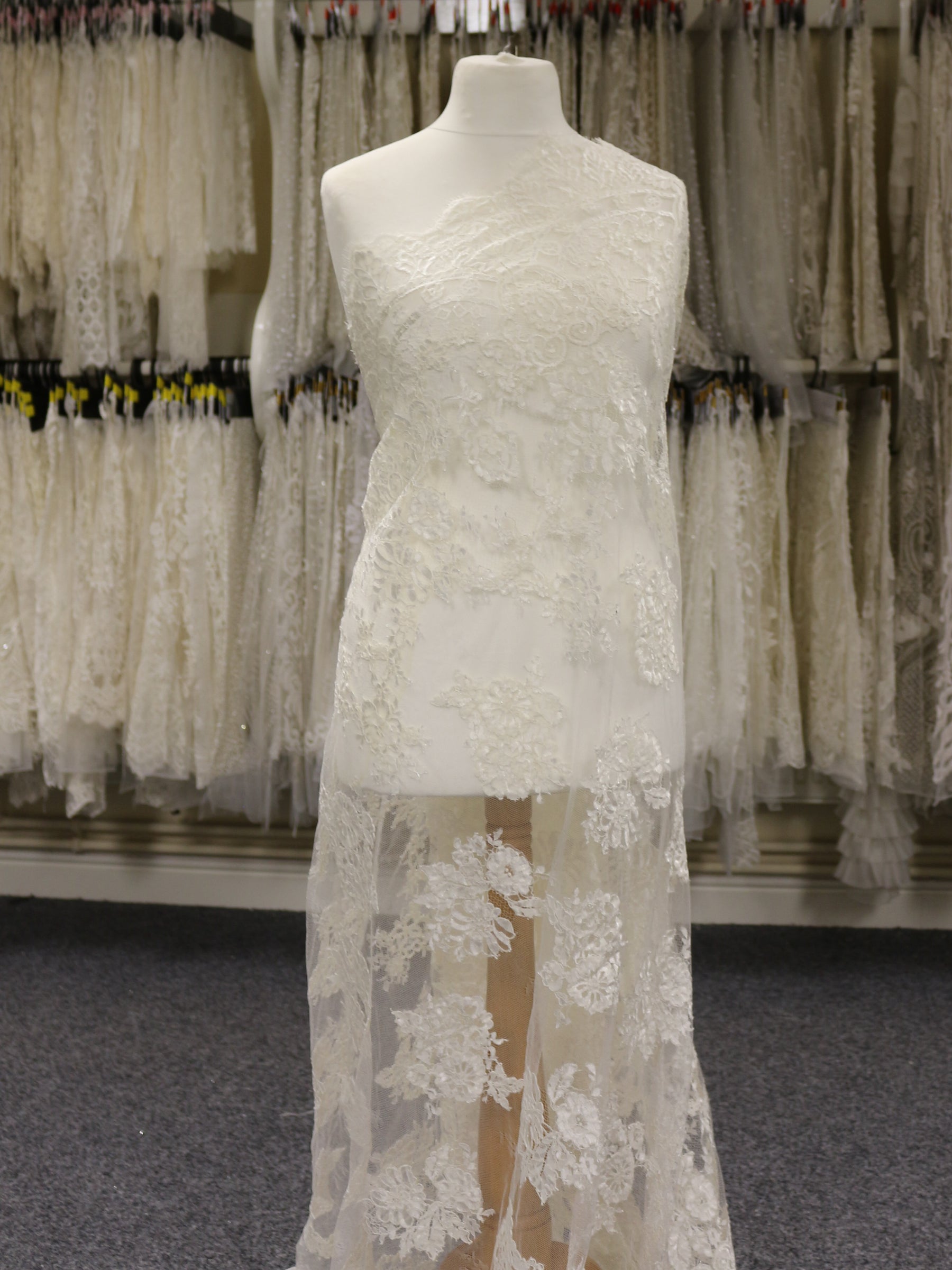 Ivory Corded Lace - Georgina