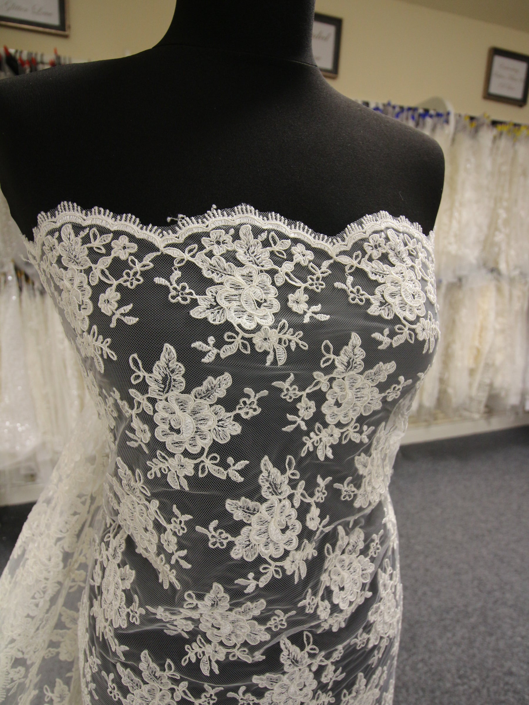 Ivory Corded Lace - Philippa