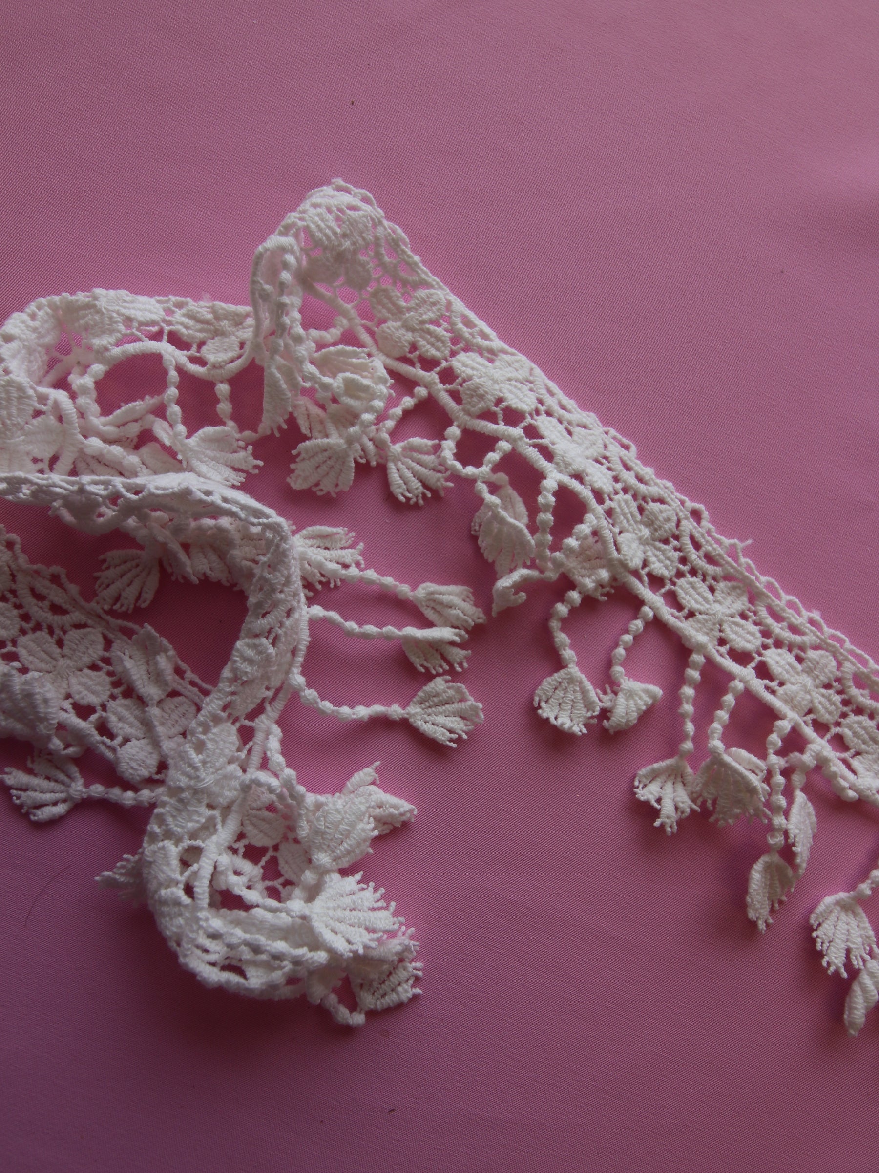 Ivory Lace Trim - Alder