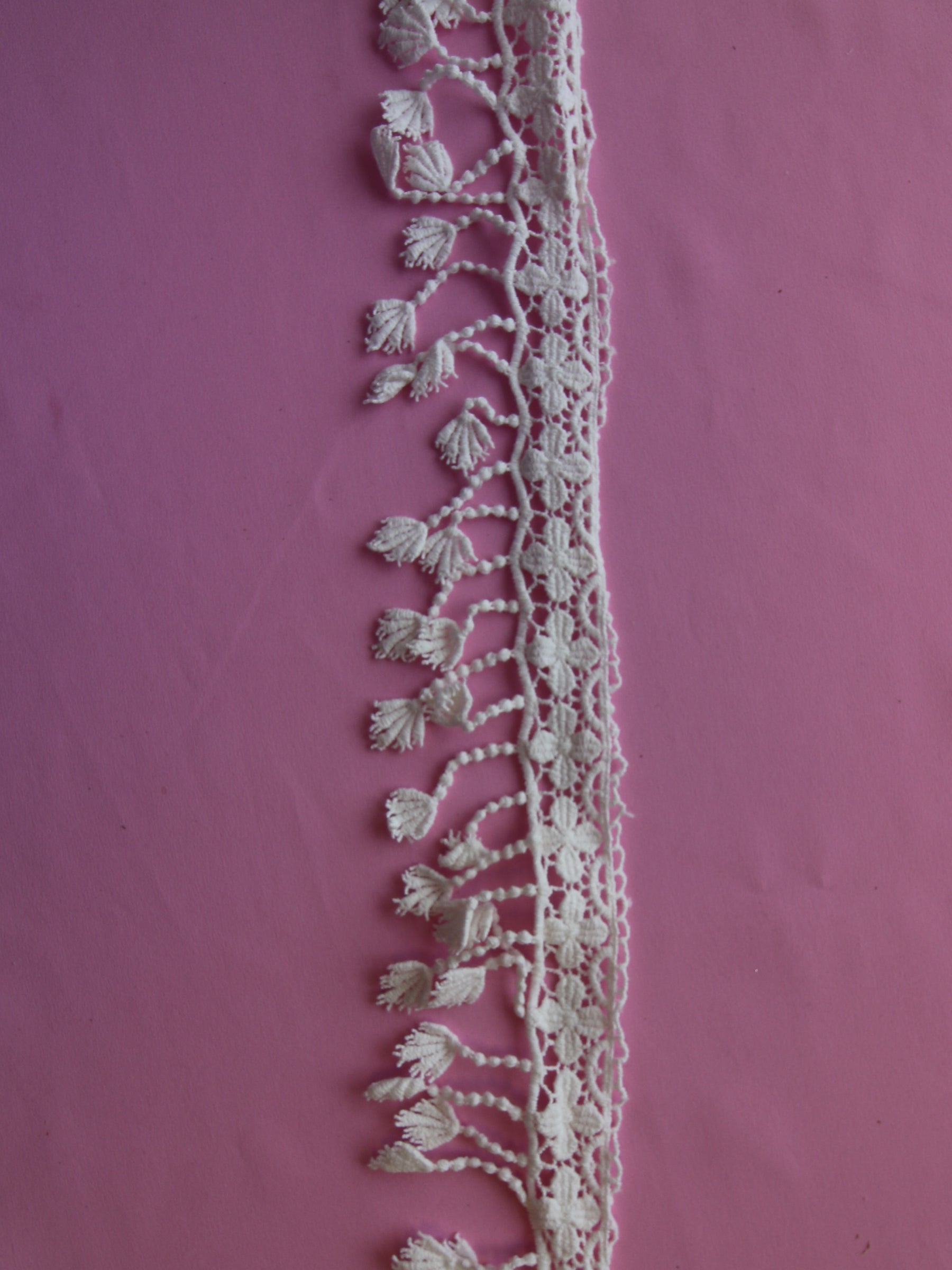 Ivory Lace Trim - Alder