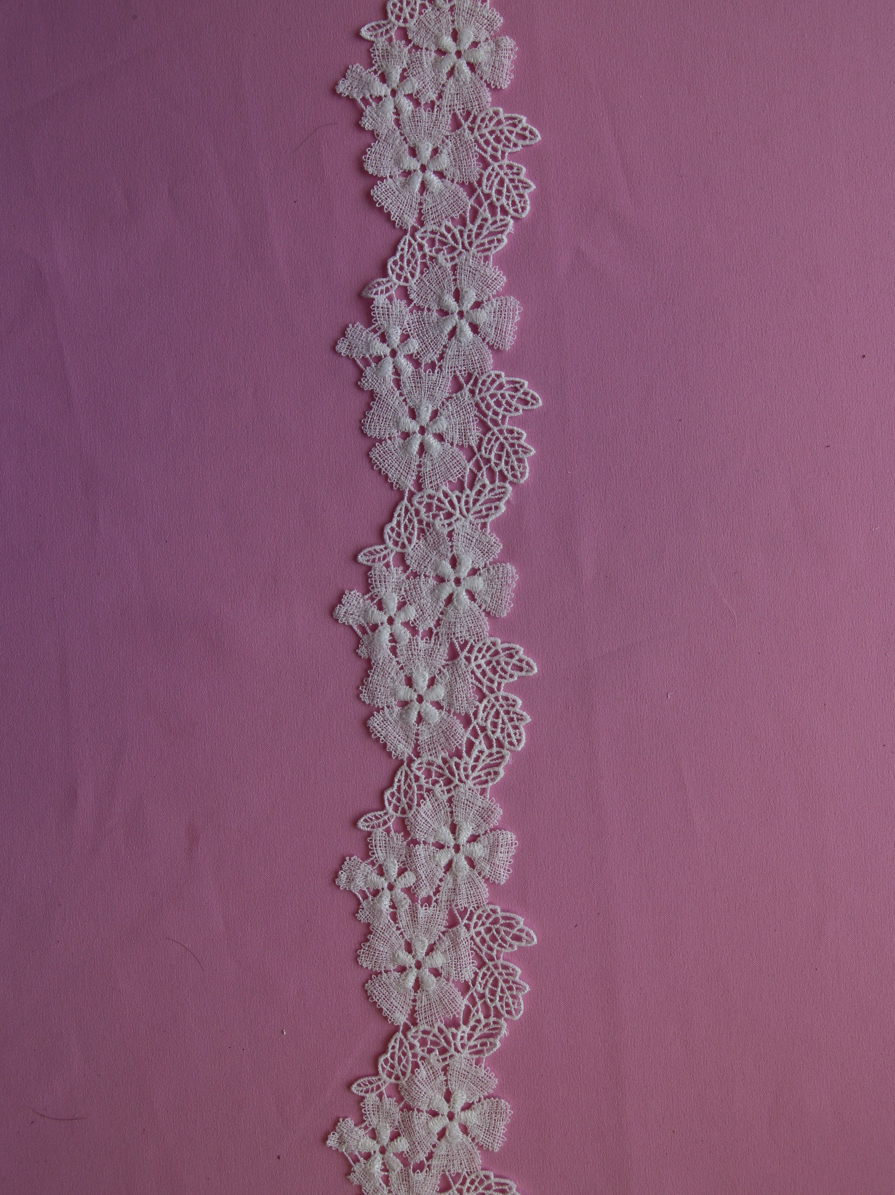 Ivory Lace Trim - Elm