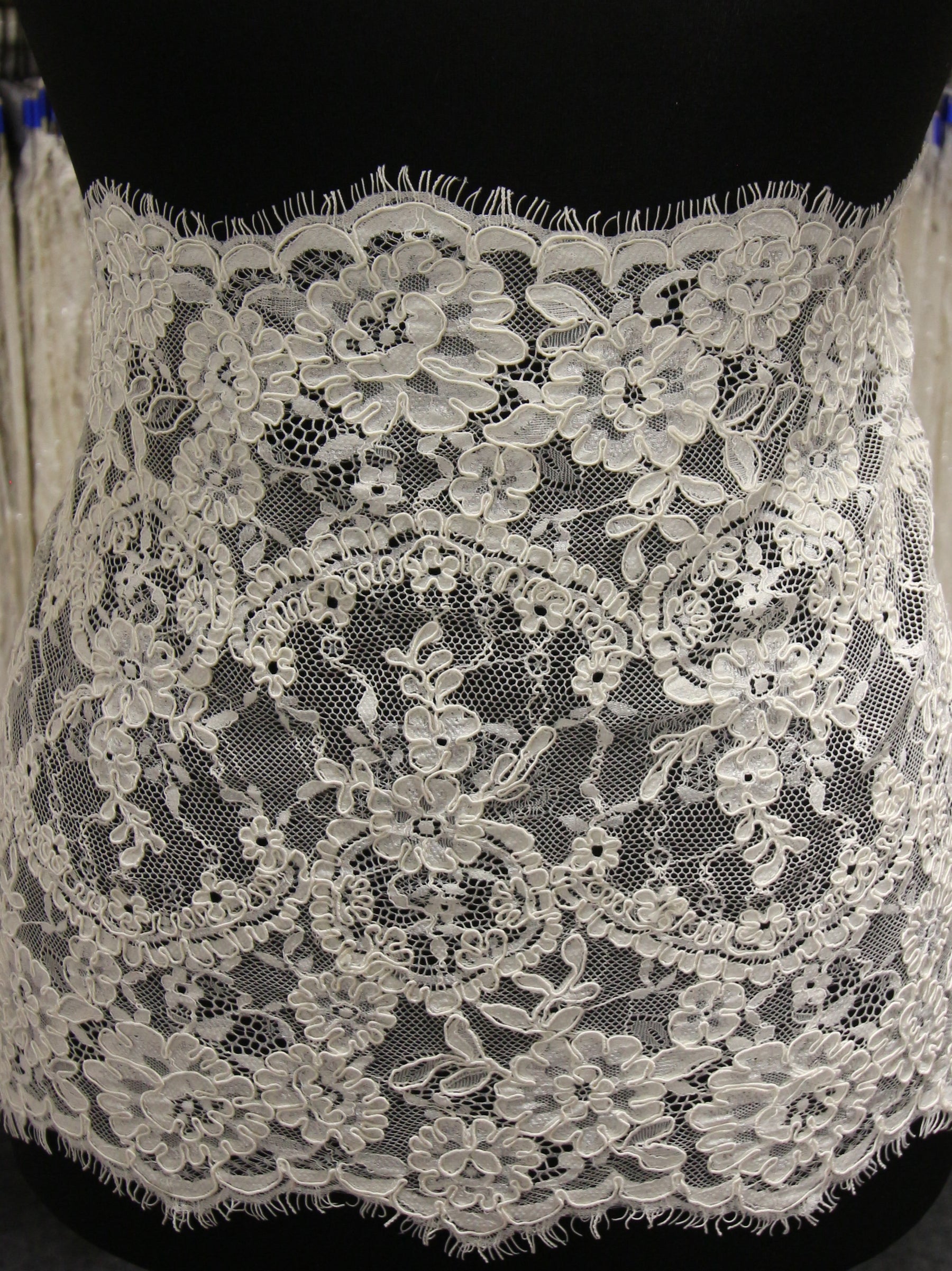 Ivory Corded Lace Trim - Eloise