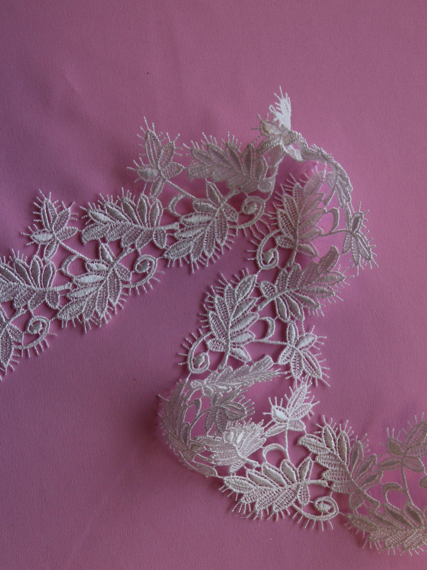 Ivory Lace Trim - Palm