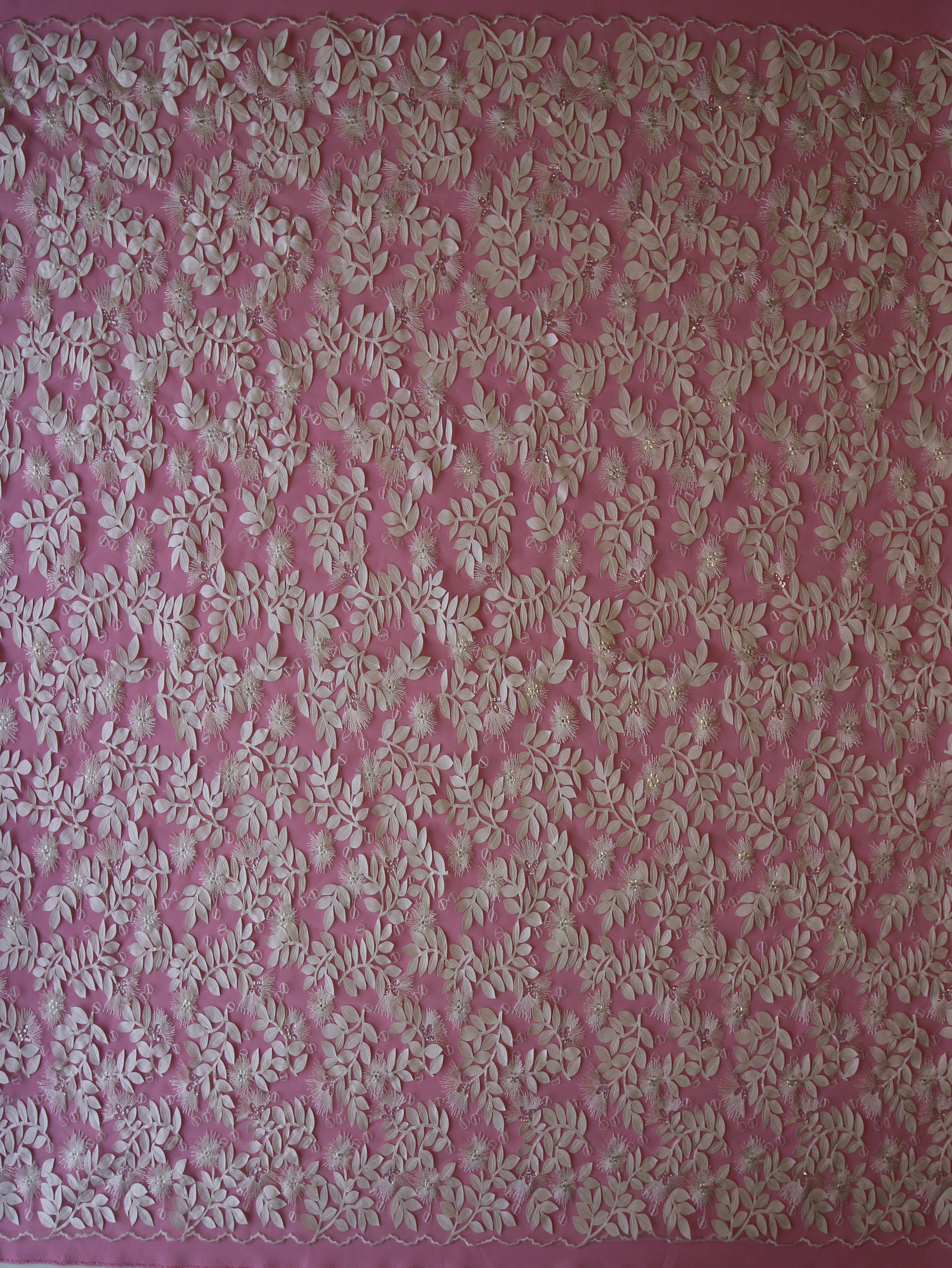 Ivory Embroidered Laser Lace - Hetty