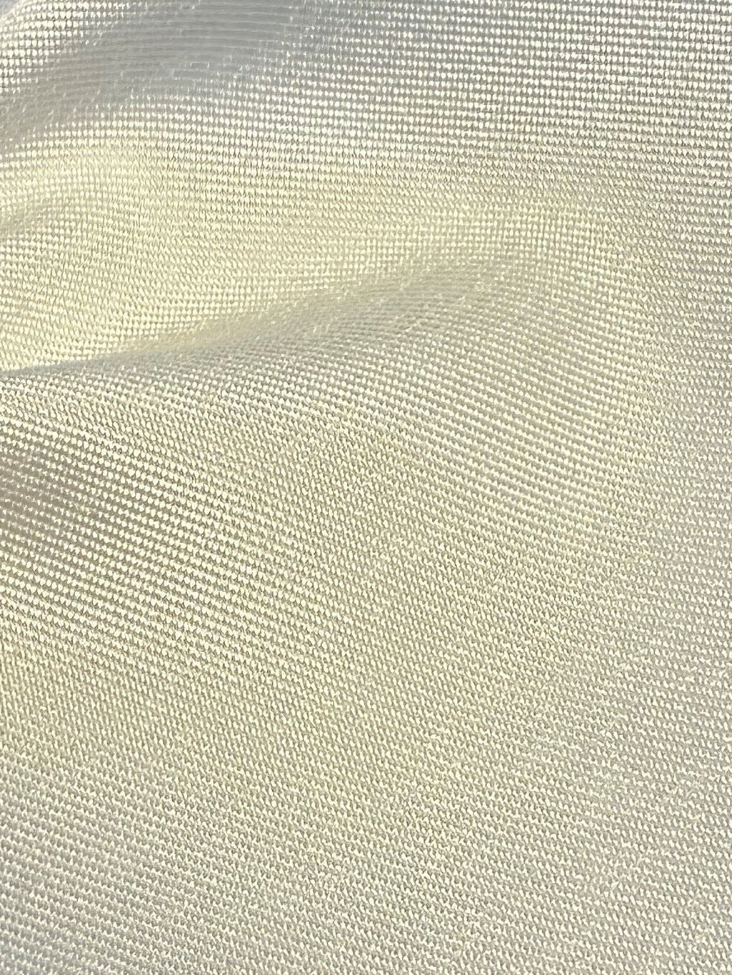 Ivory Mikado - Pasha