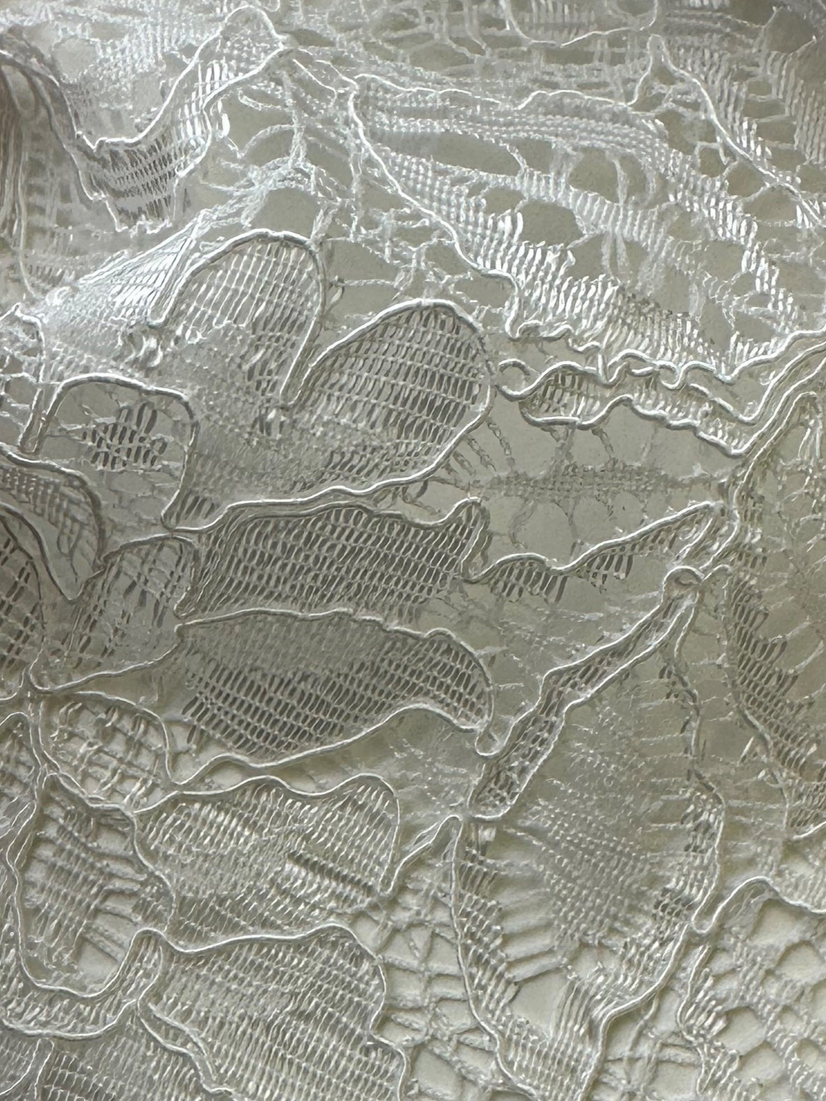 Ivory Corded Lace - Tocca