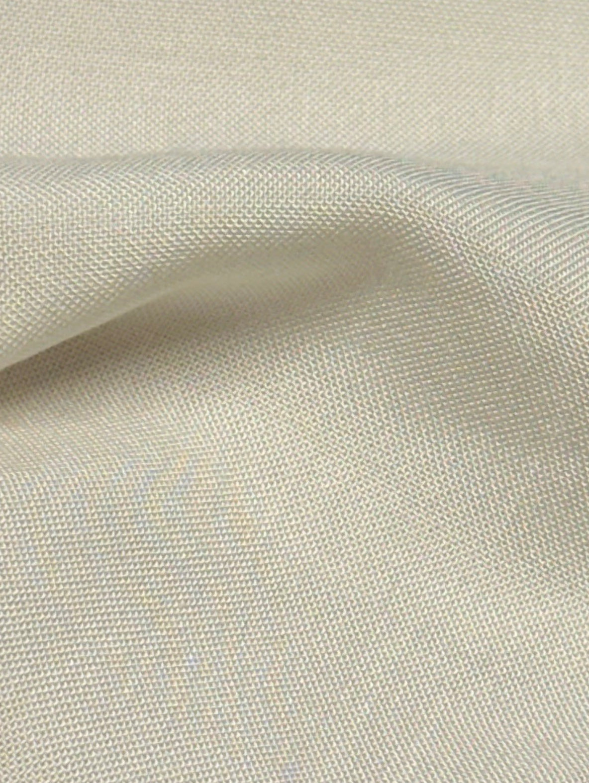Ivory Bamboo Poplin - Panda