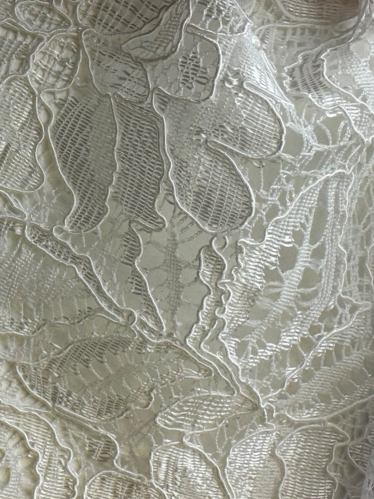 Ivory Corded Lace - Tocca