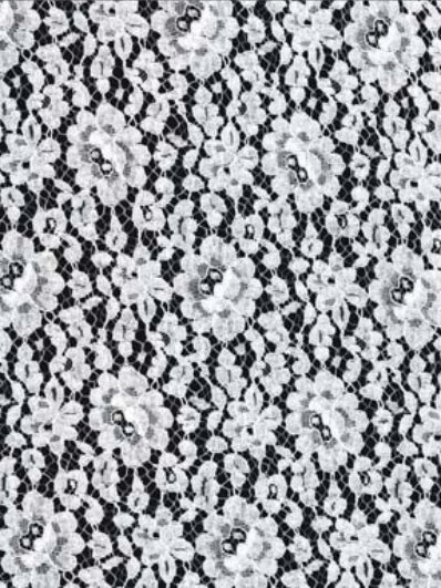 Ivory Corded French Lace - LA4002