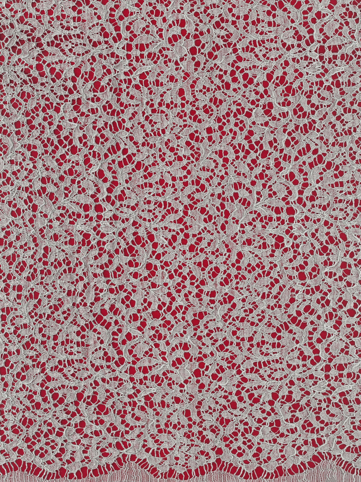 Silver Corded French Lace - LA4005