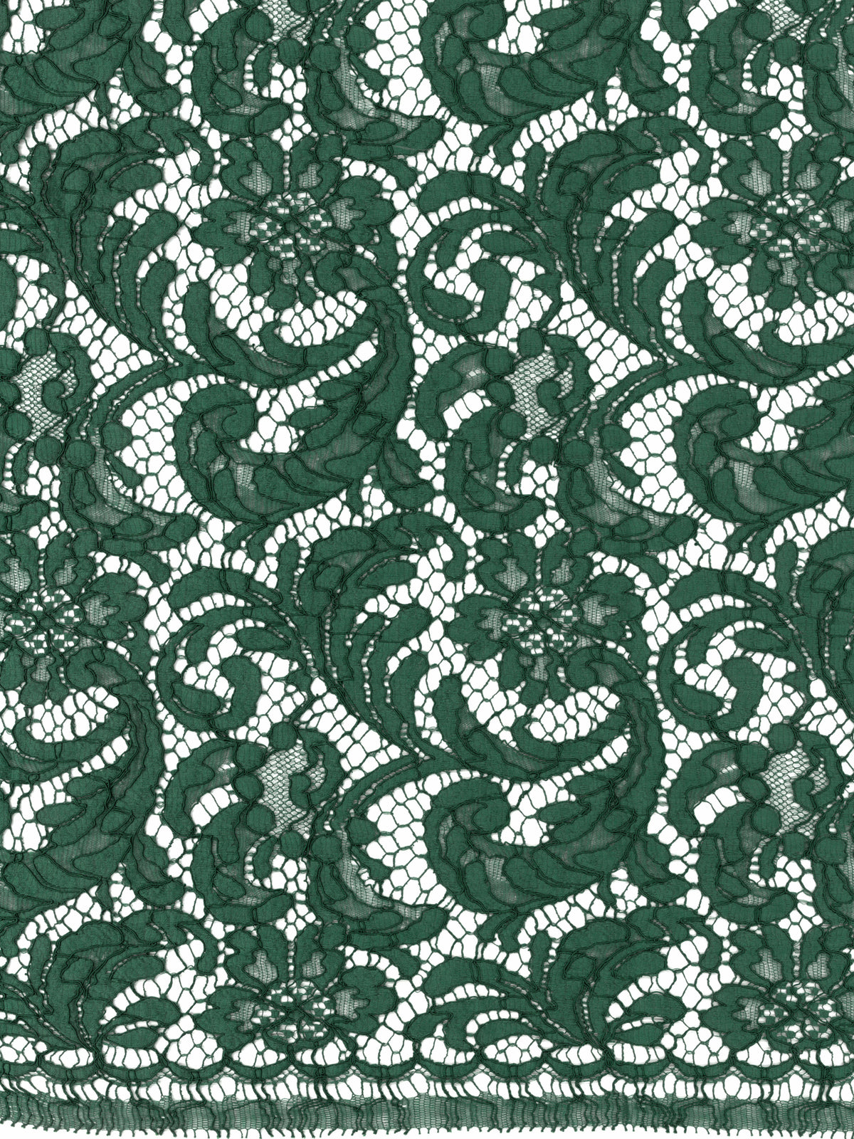 Emerald Eco French Corded Lace - LA4007
