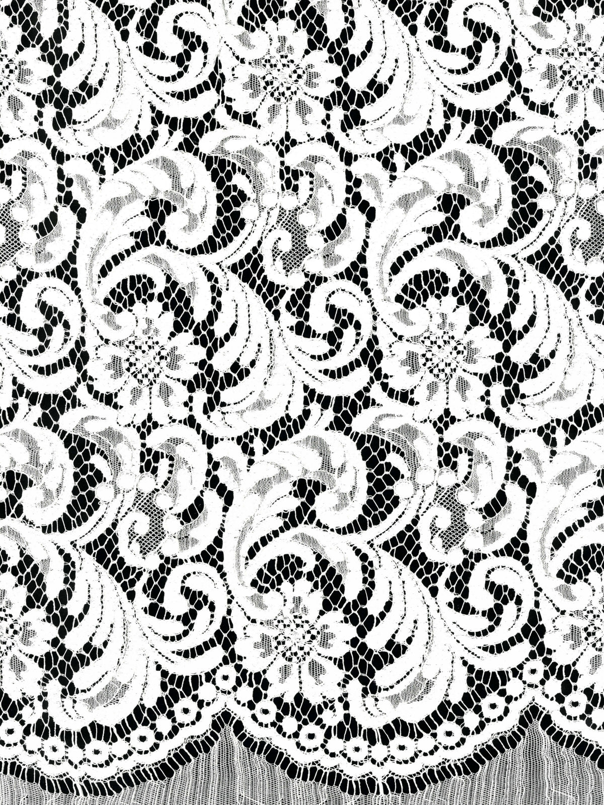 Ivory Eco French Corded Lace - LA4007