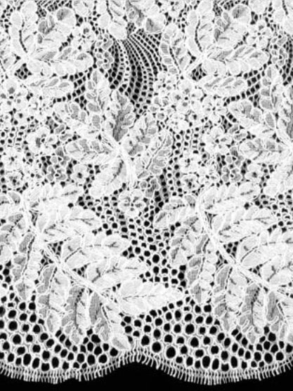 Ivory Corded Lace - LA7010