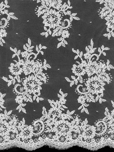 Ivory Corded Lace - LA7013