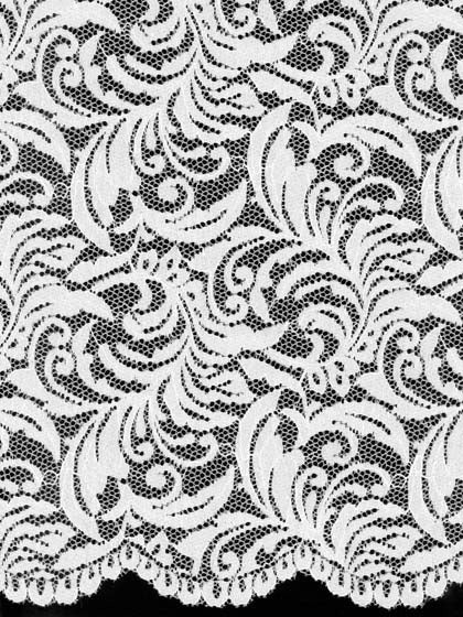 Ivory Stretch Lace - LB7001