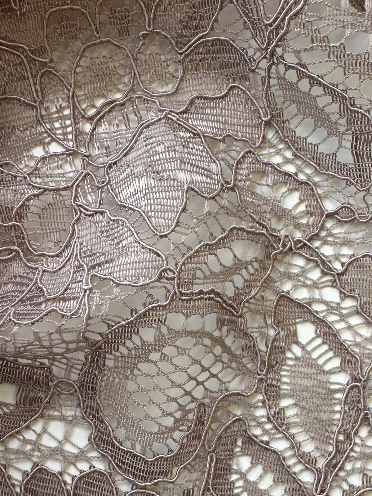 Mink Corded Lace - Tocca