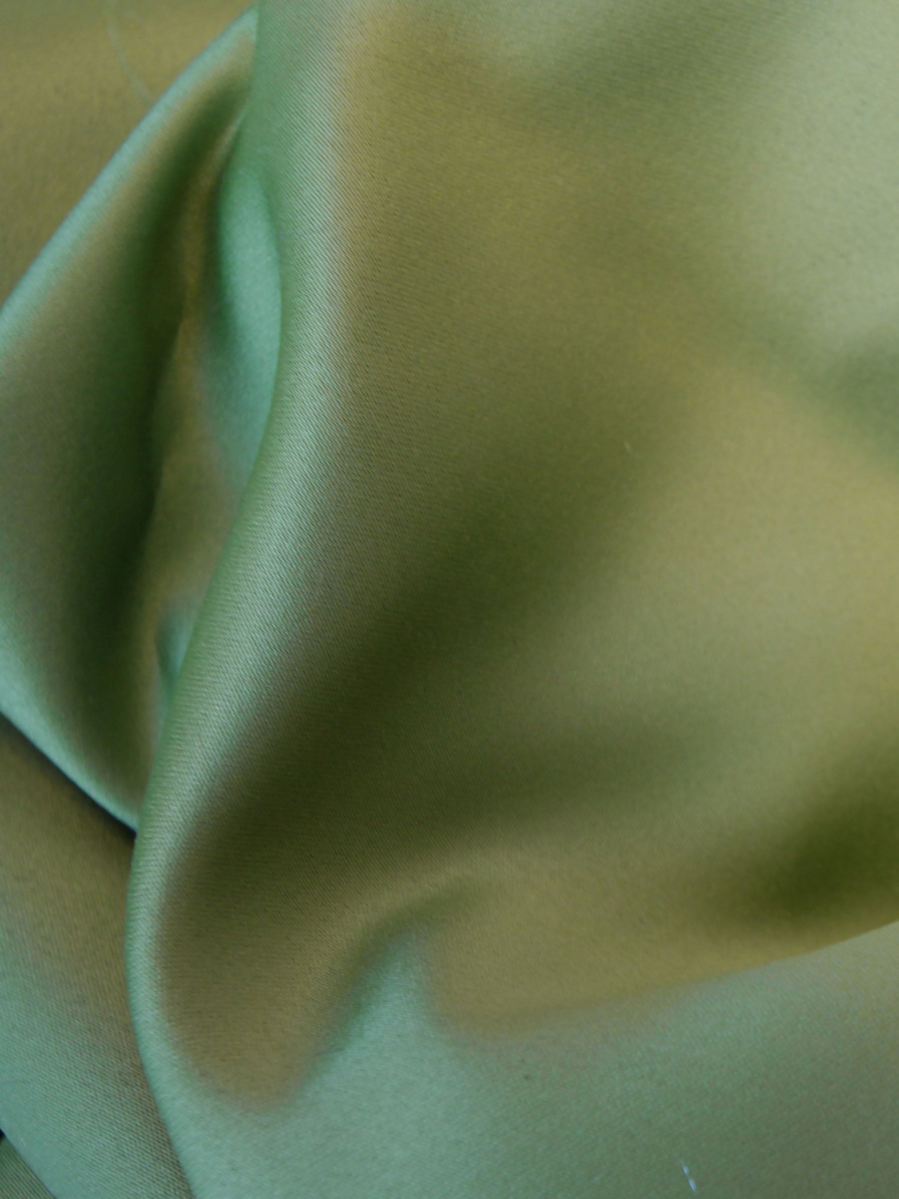 Golden Olive Botanical Printed Satin Silk Co-ord Set main image 0