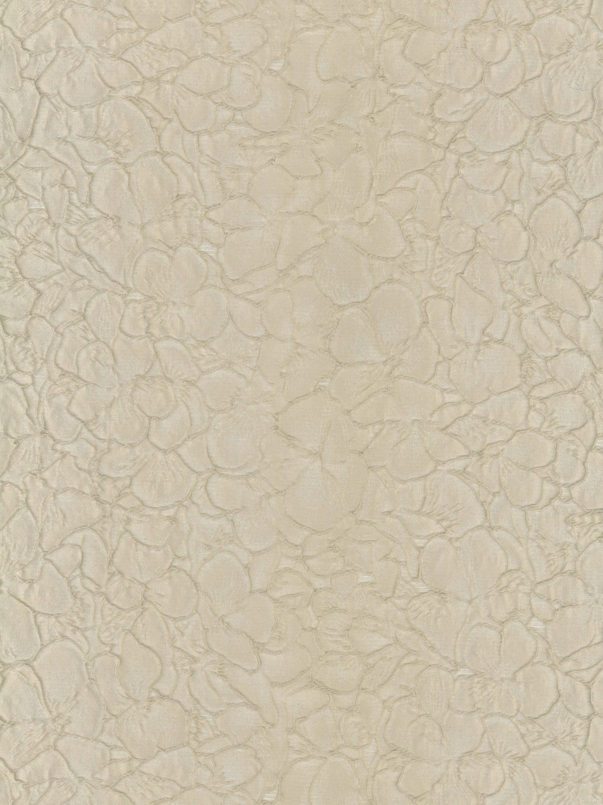 Coffee Jacquard - P659