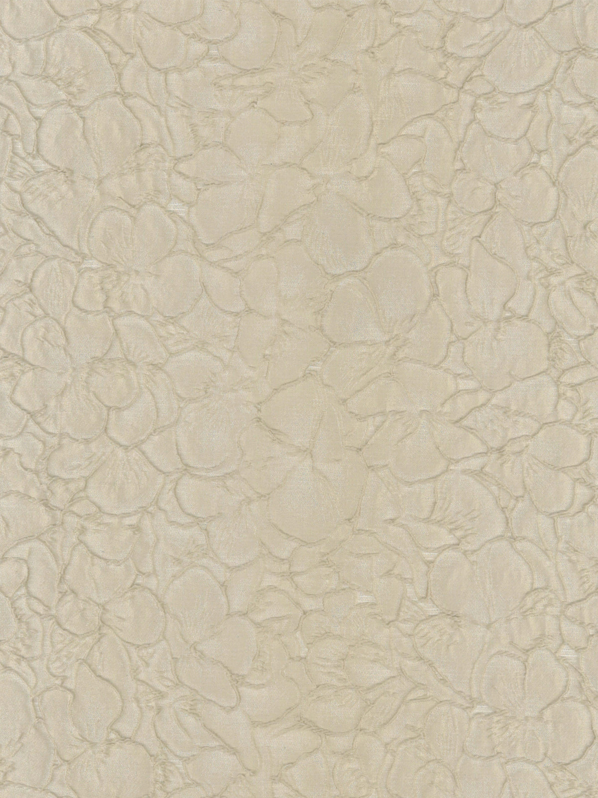Coffee Jacquard - P659