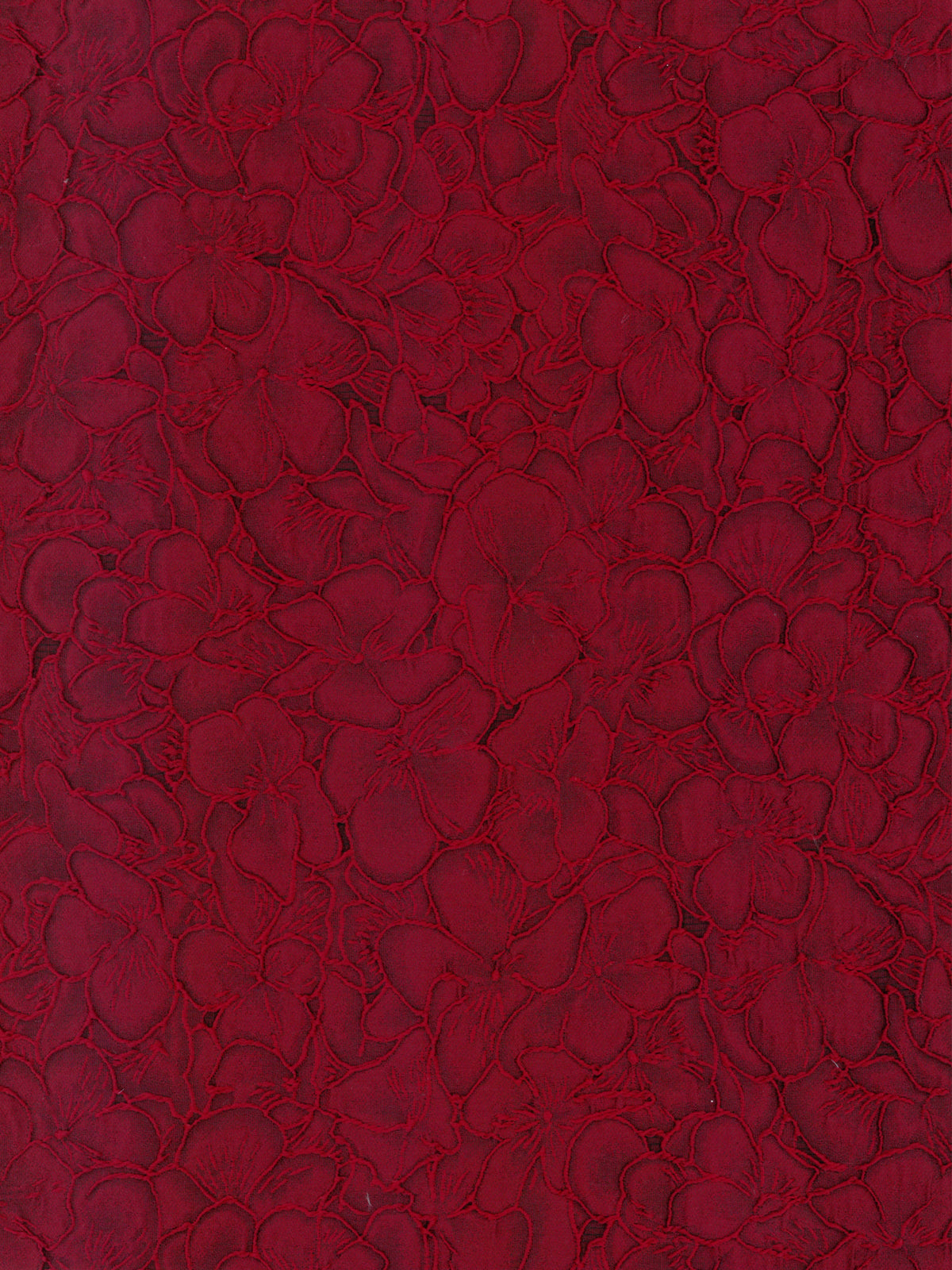 Wine Jacquard - P659