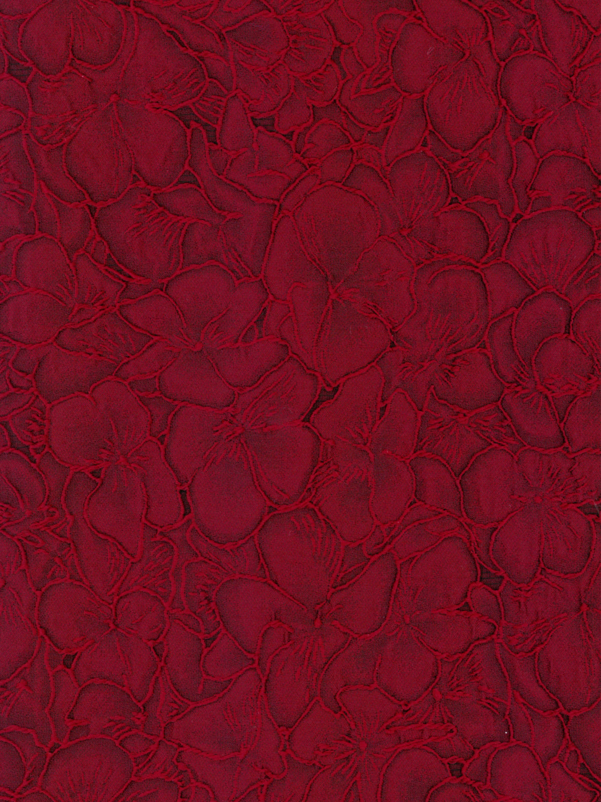 Wine Jacquard - P659