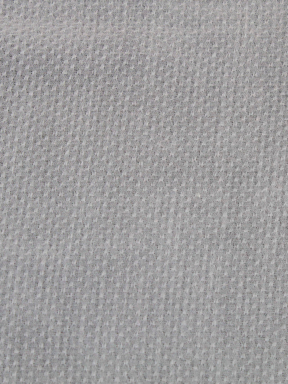 Ivory Mini Dobby - PH5007