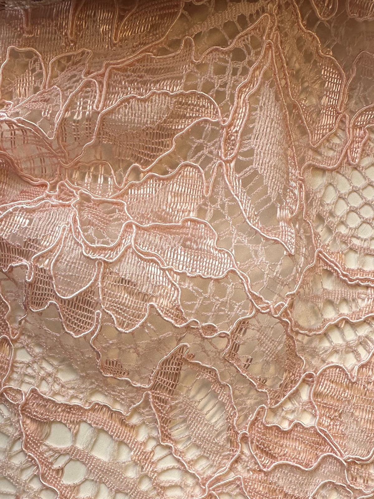Pearl Blush Corded Lace - Tocca