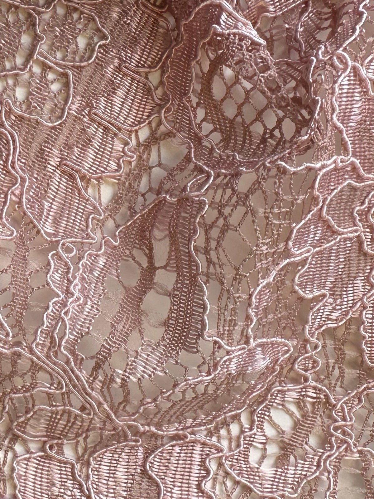 Pink Corded Lace - Tocca