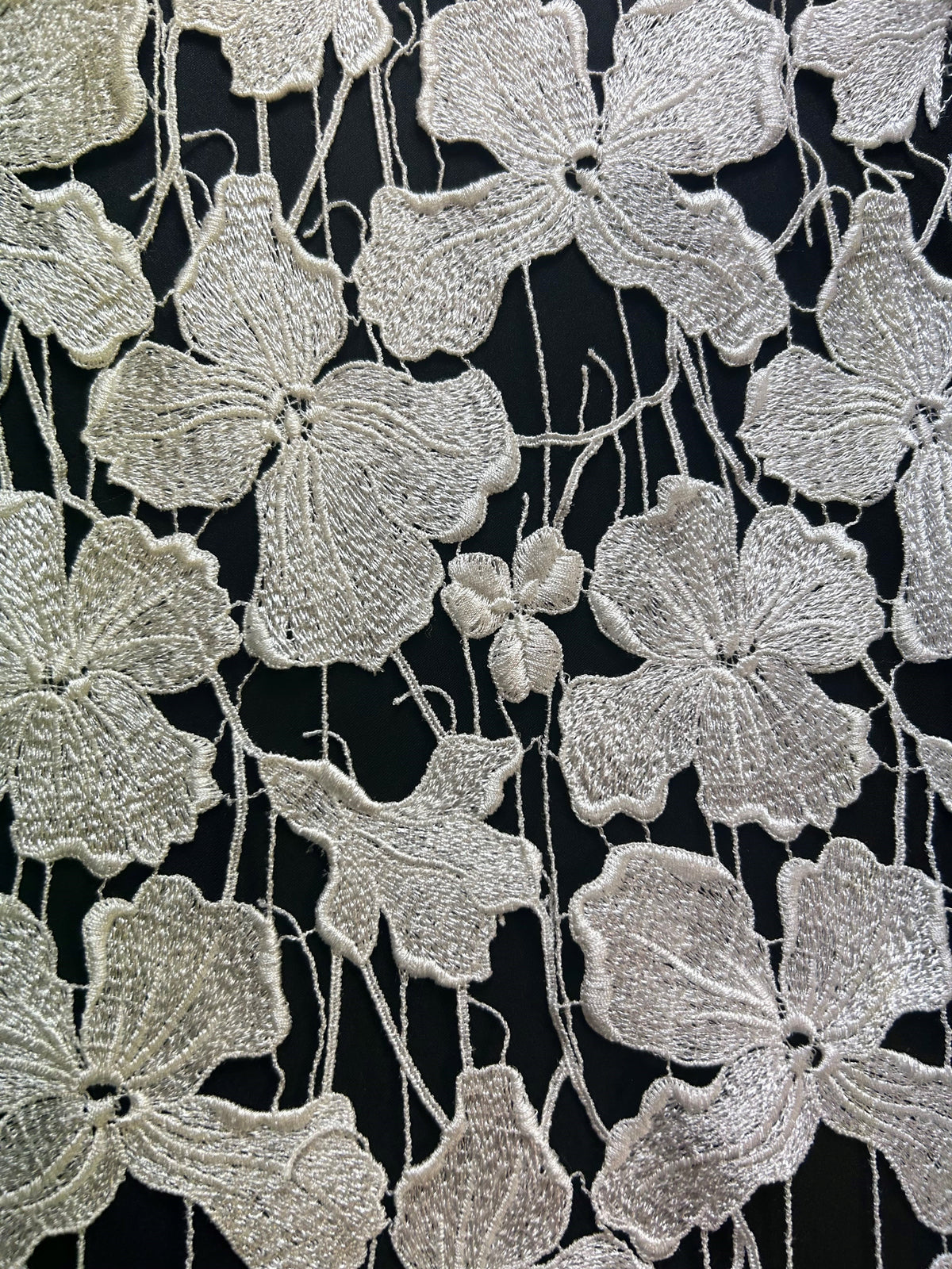 Ivory Italian Embroidery Lace - Raniya