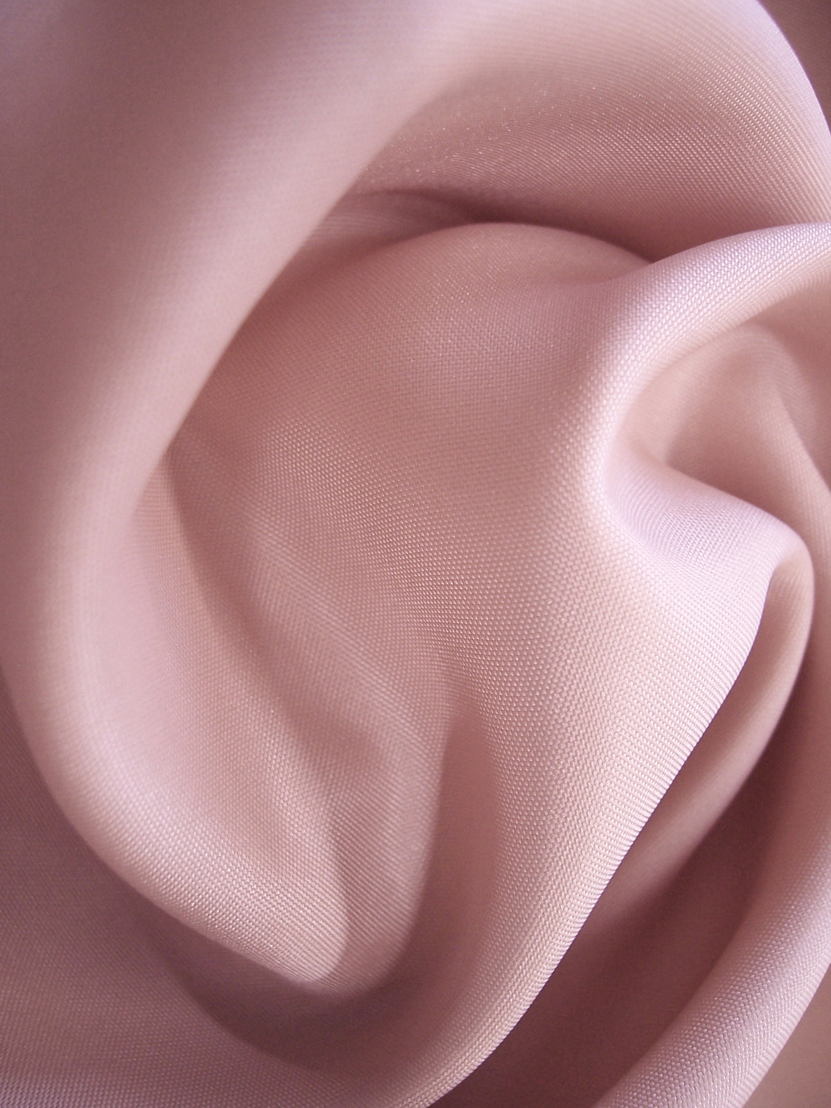 Shell Polyester Lining Fabric - Renaissance