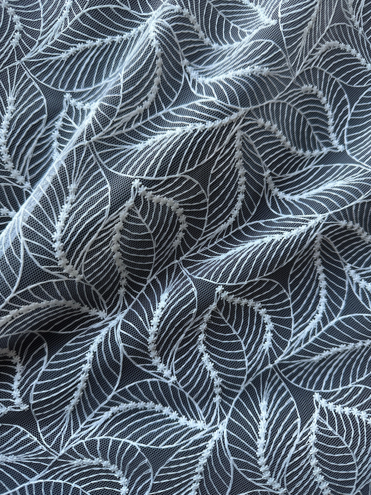 Ivory Raschel Lace - Senorita