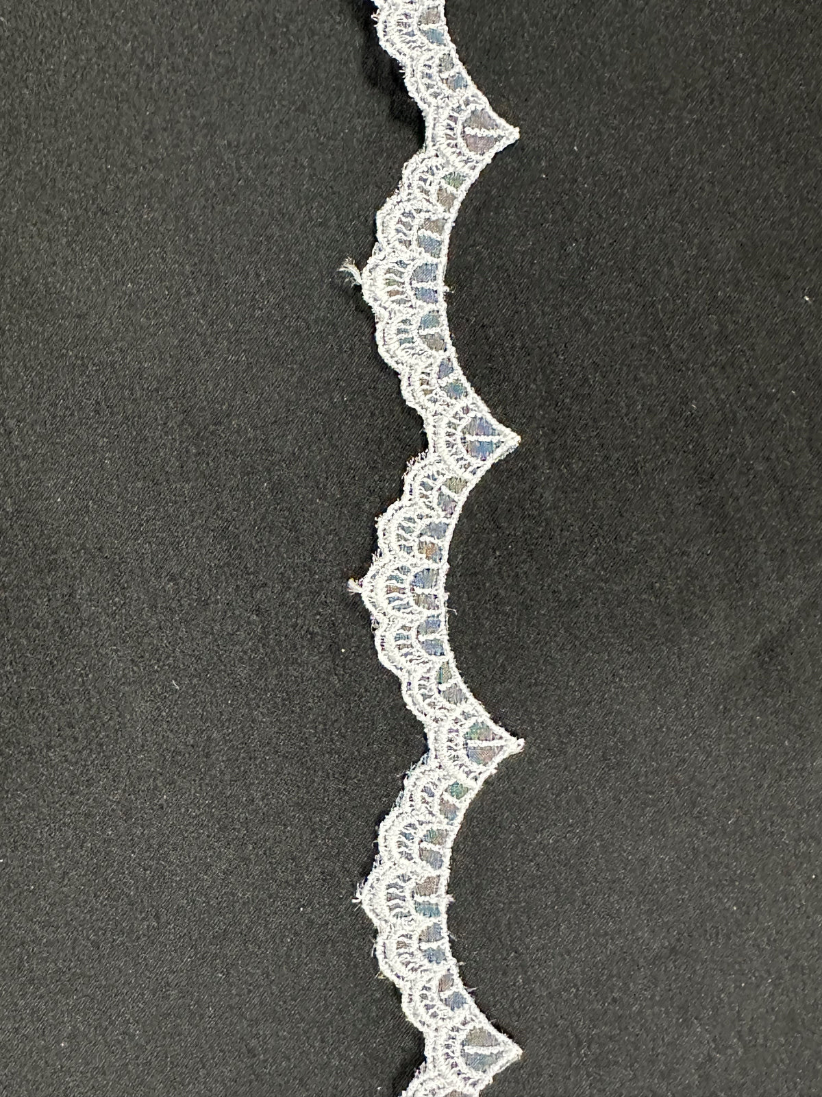 White Embroidered Lace Trim - T232