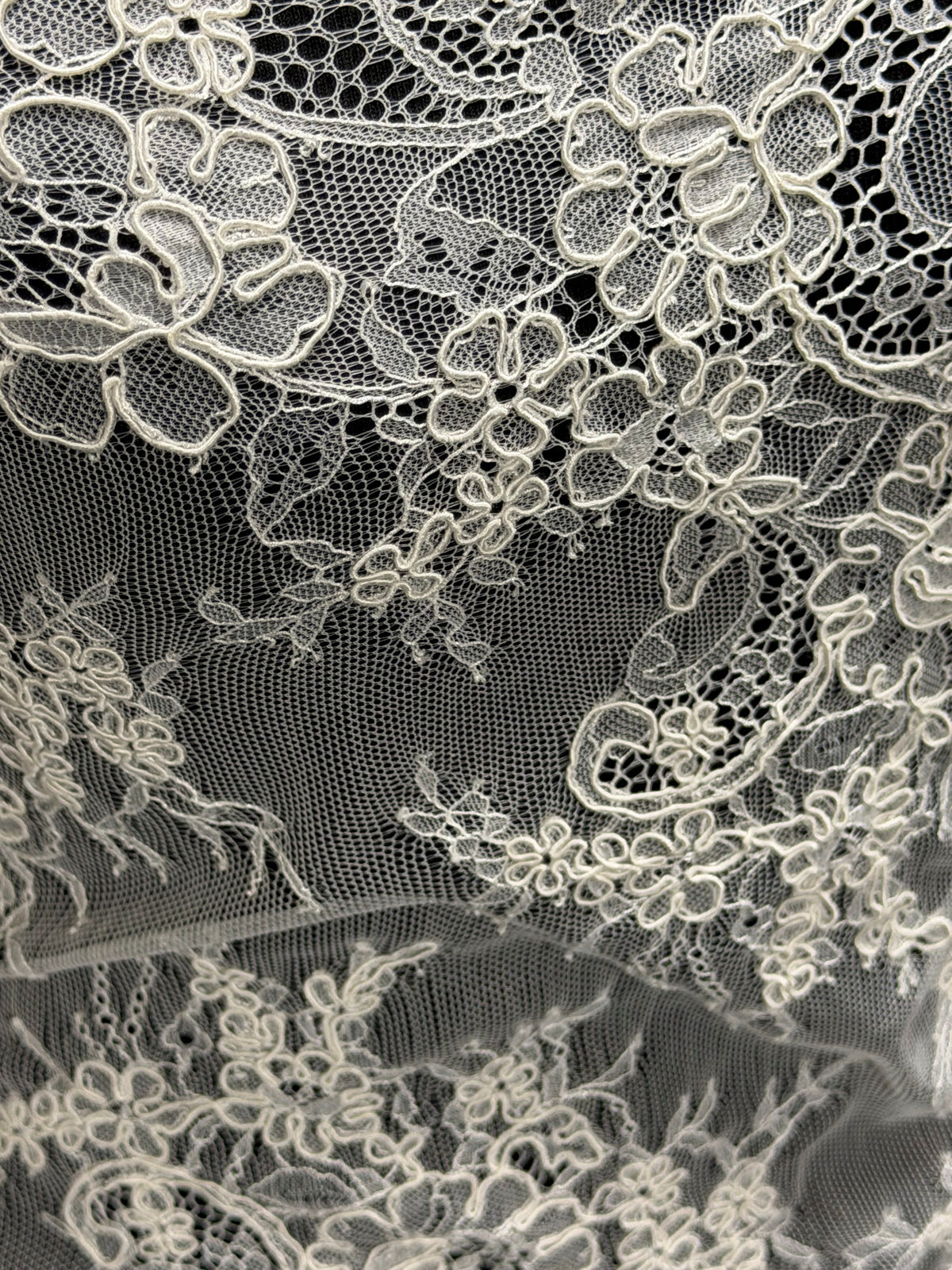 Ivory Corded Lace Trim - T477
