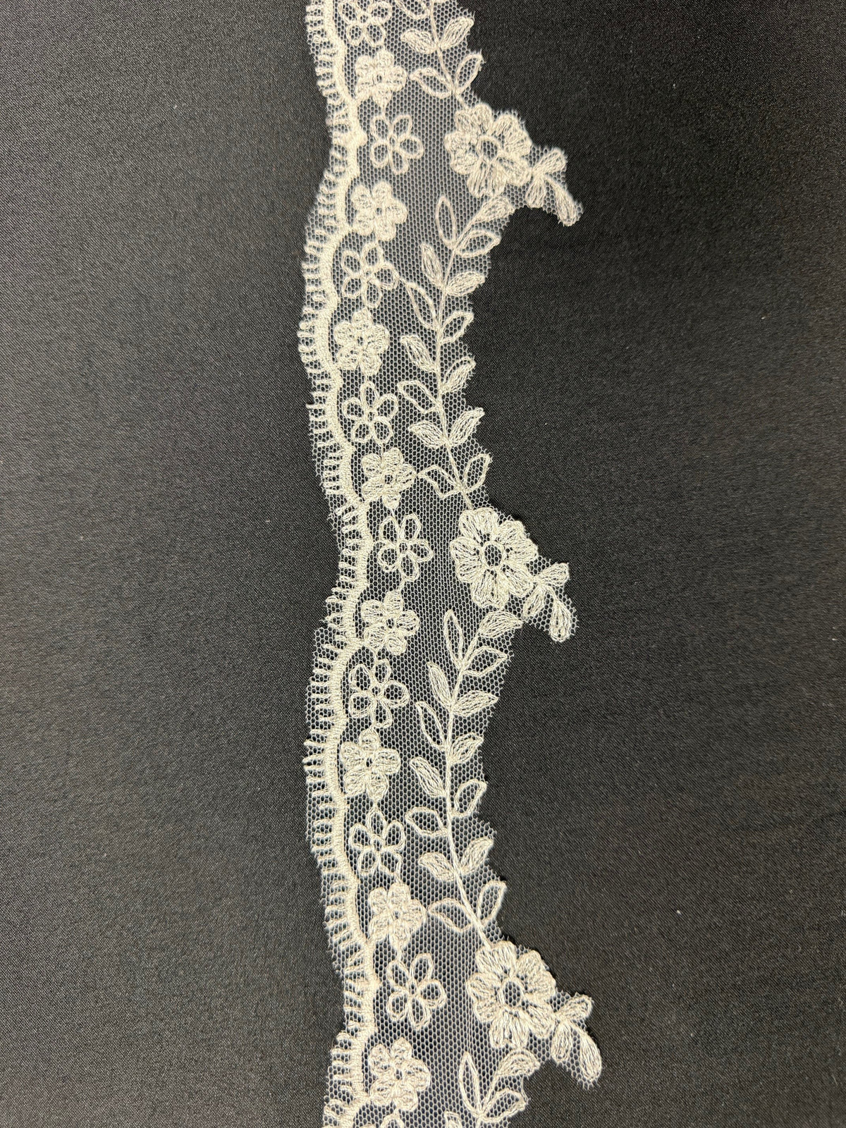 Ivory Embroidered Lace Trim - T53