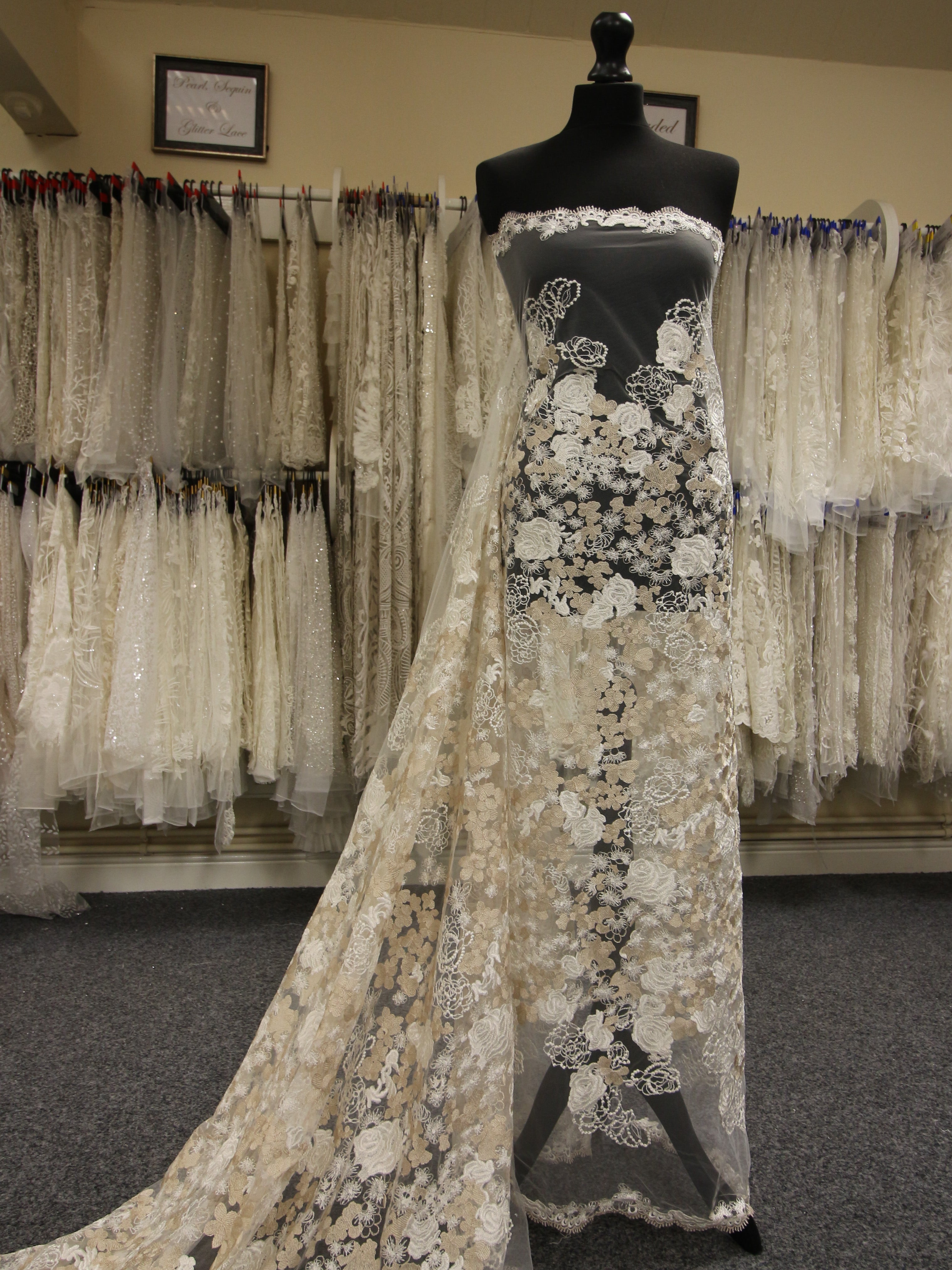 Champagne Embroidered Lace Nyla