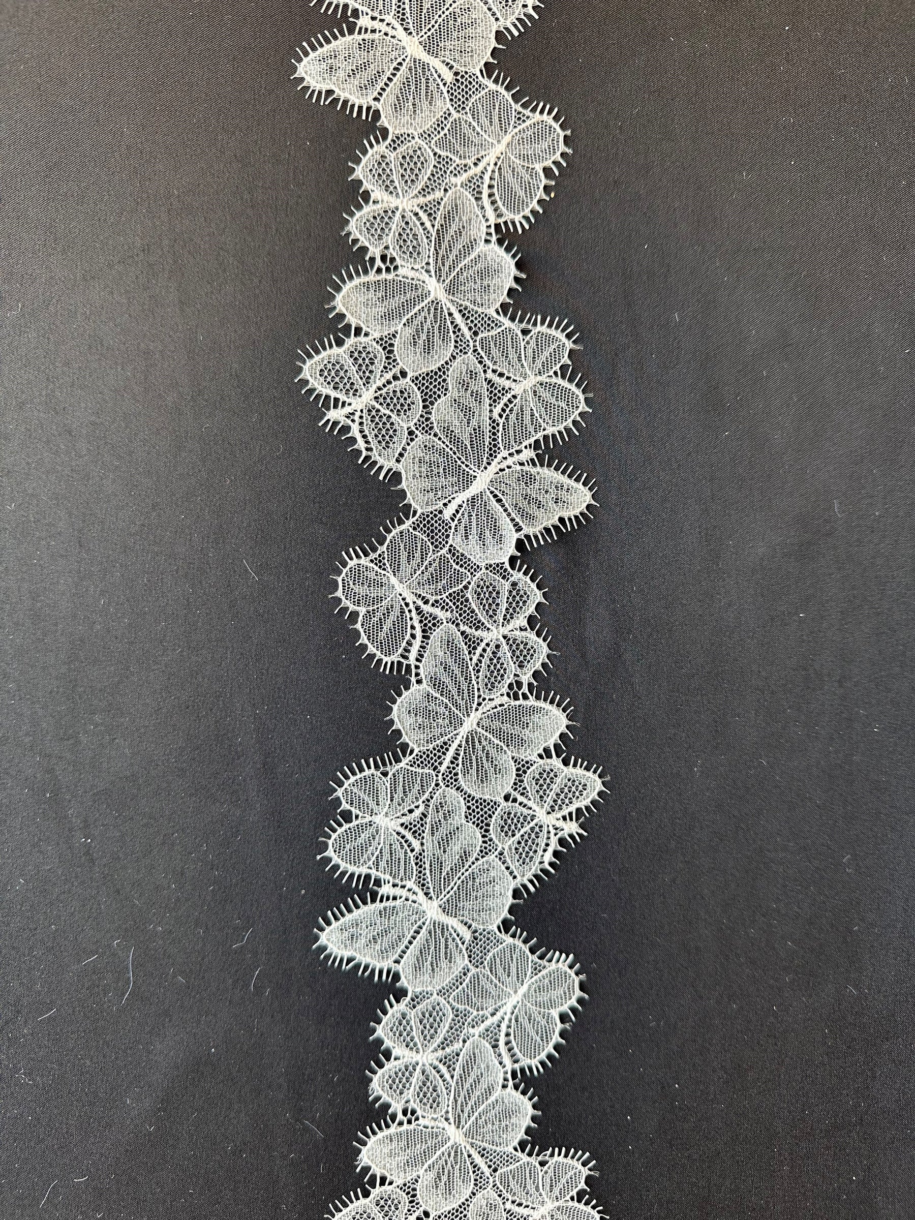 Ivory Butterfly Lace Trim - Mariner
