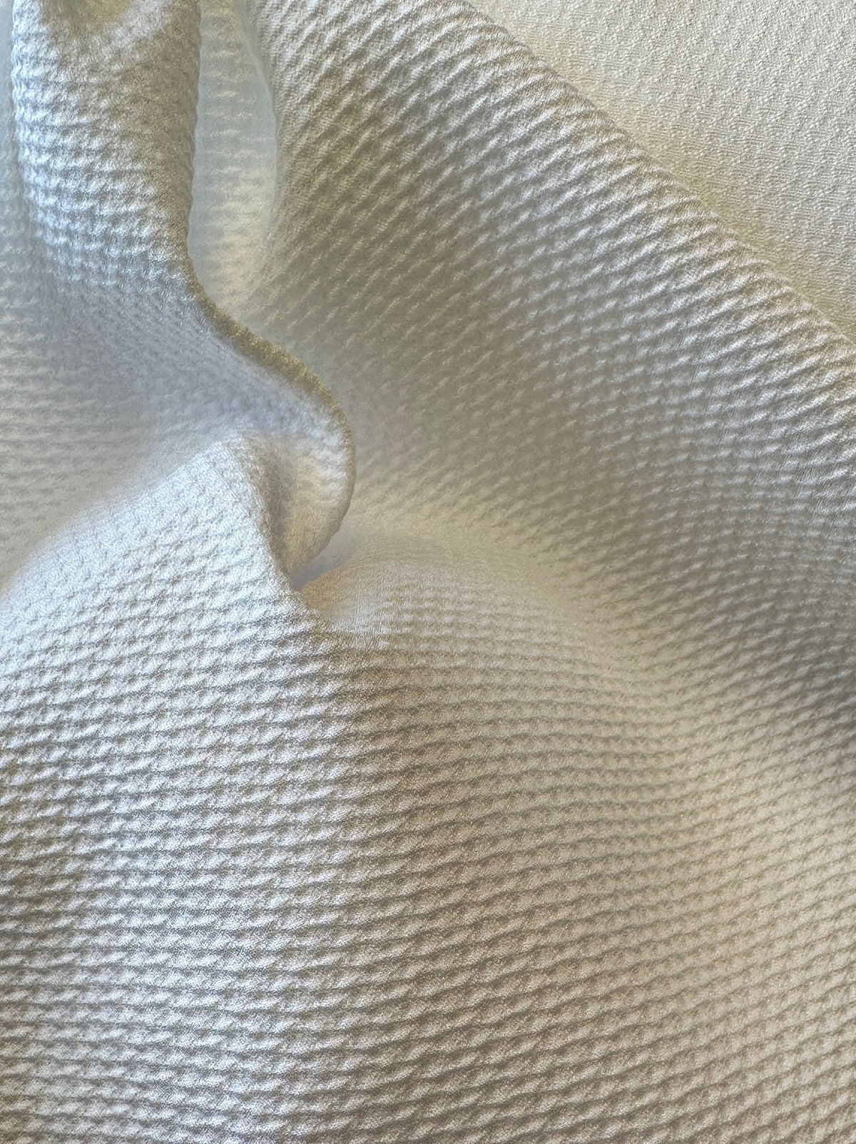 Ivory Jacquard Texture - Homogeny