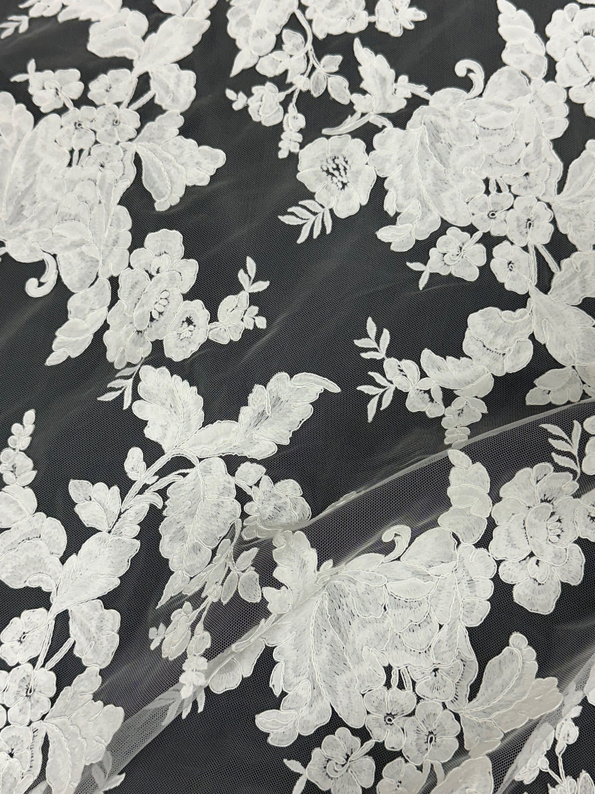 Ivory Corded Lace - Gossip