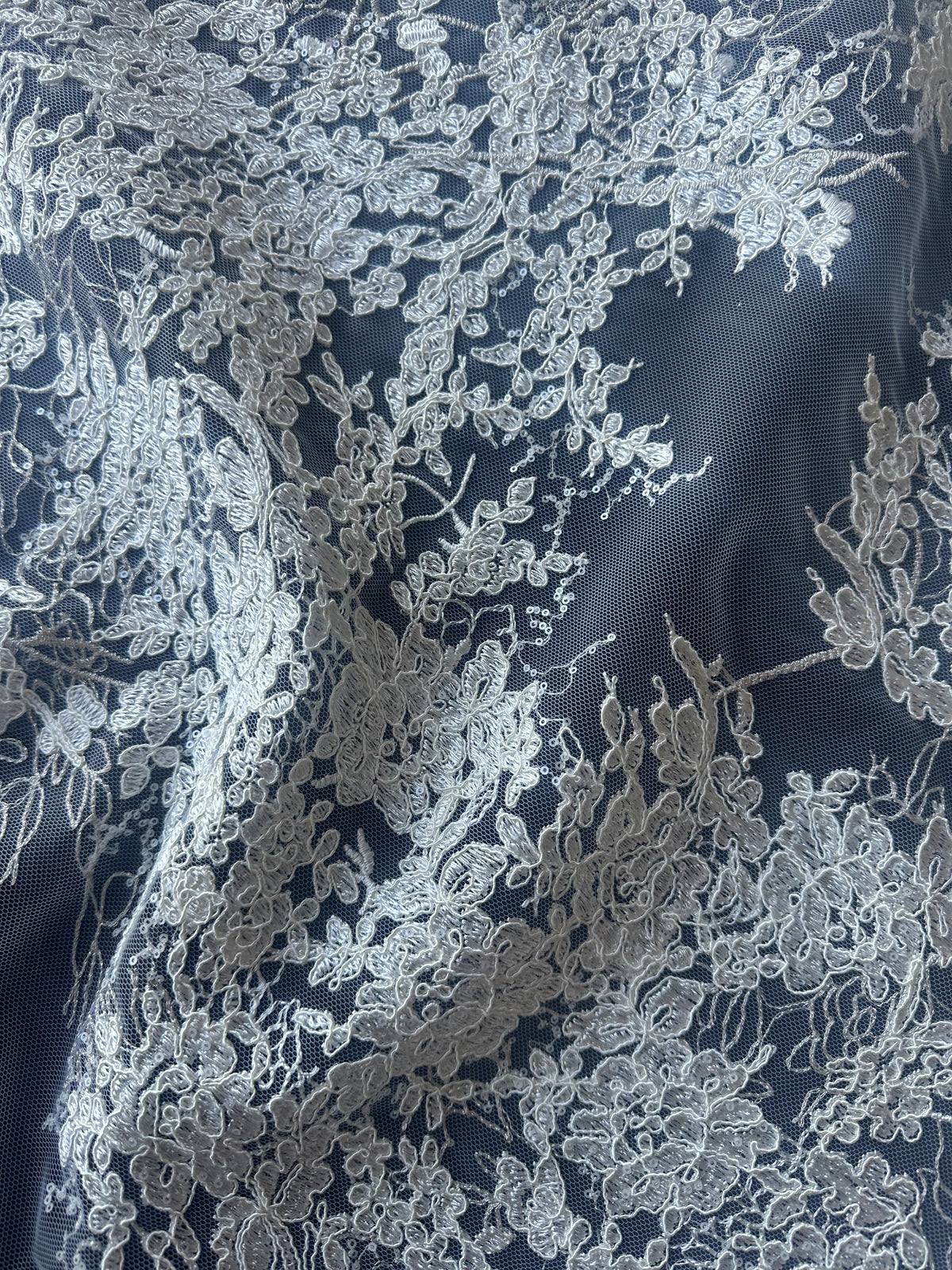 Ivory with Silver Embroidered Lace - Hermitage