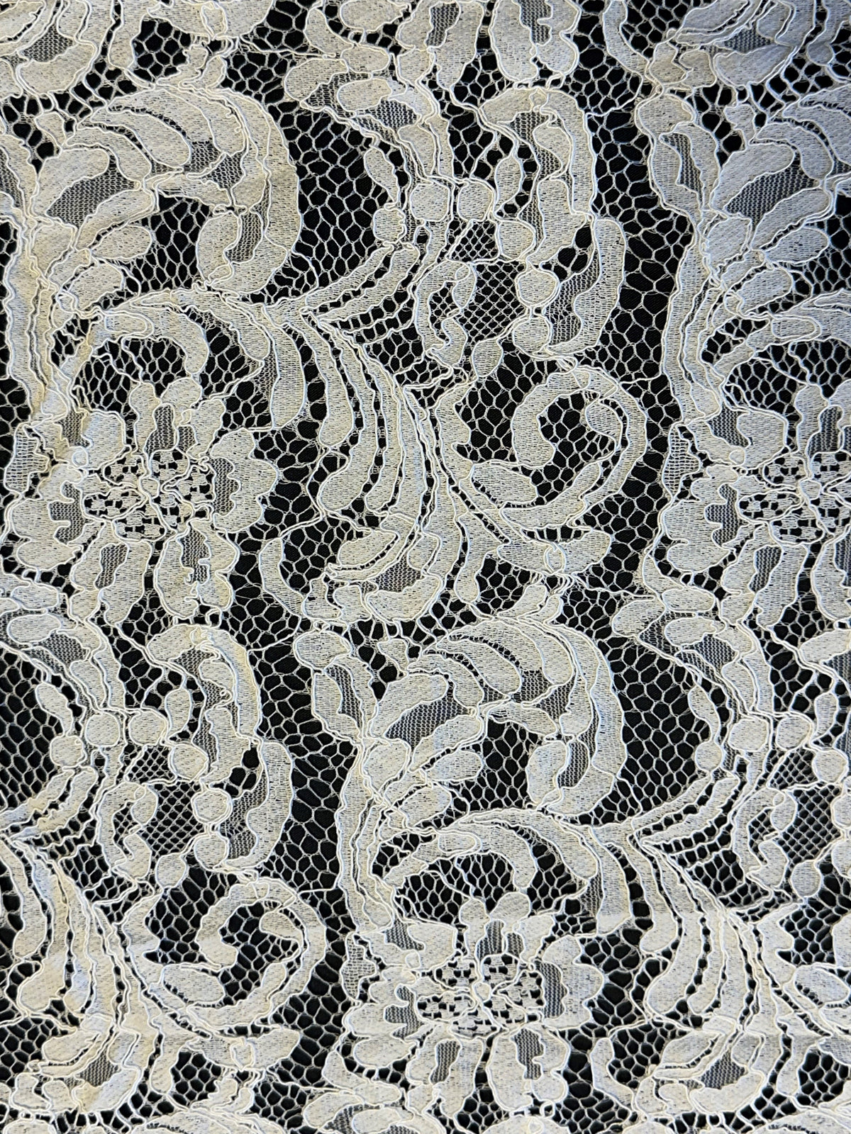 Ivory Corded Lace Panel - Coleen