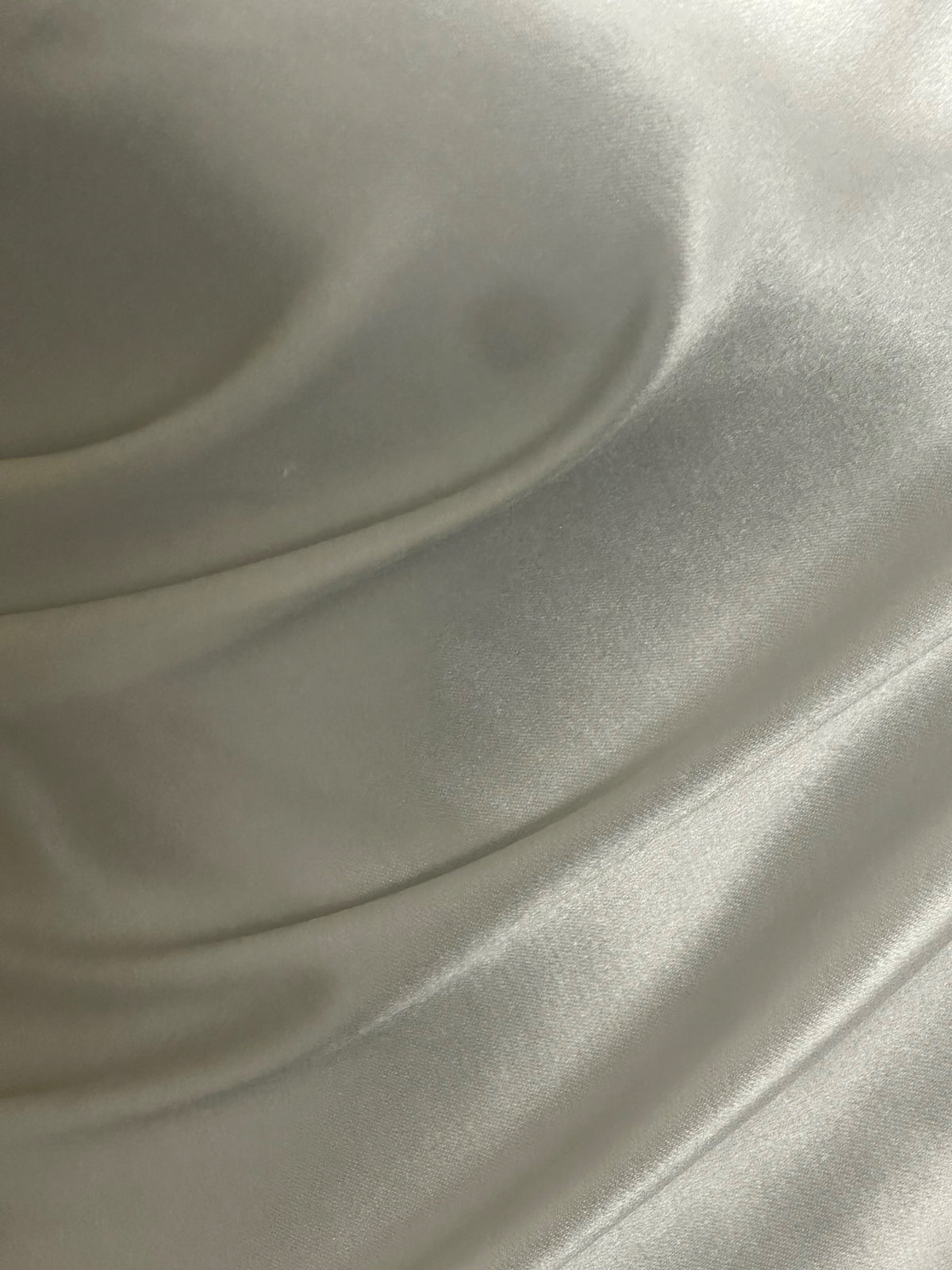 Ivory Silk/Cotton Satin - Heraldry