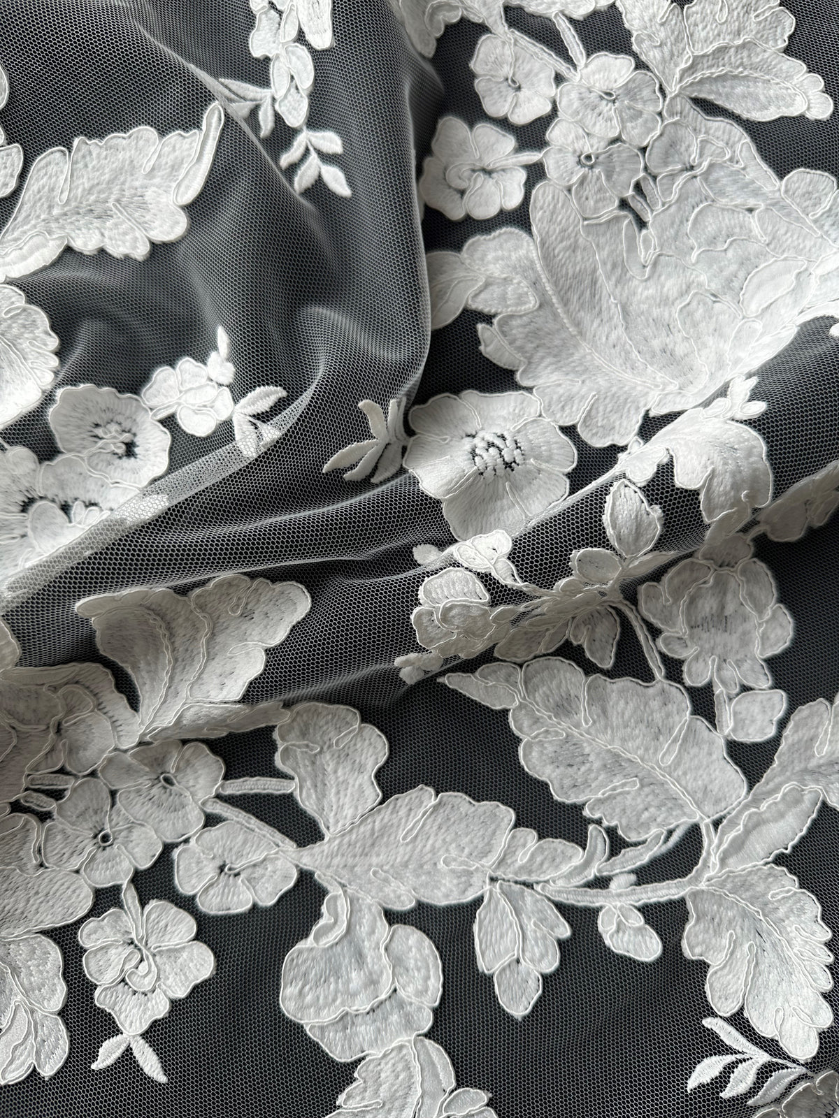 Ivory Corded Lace - Gossip