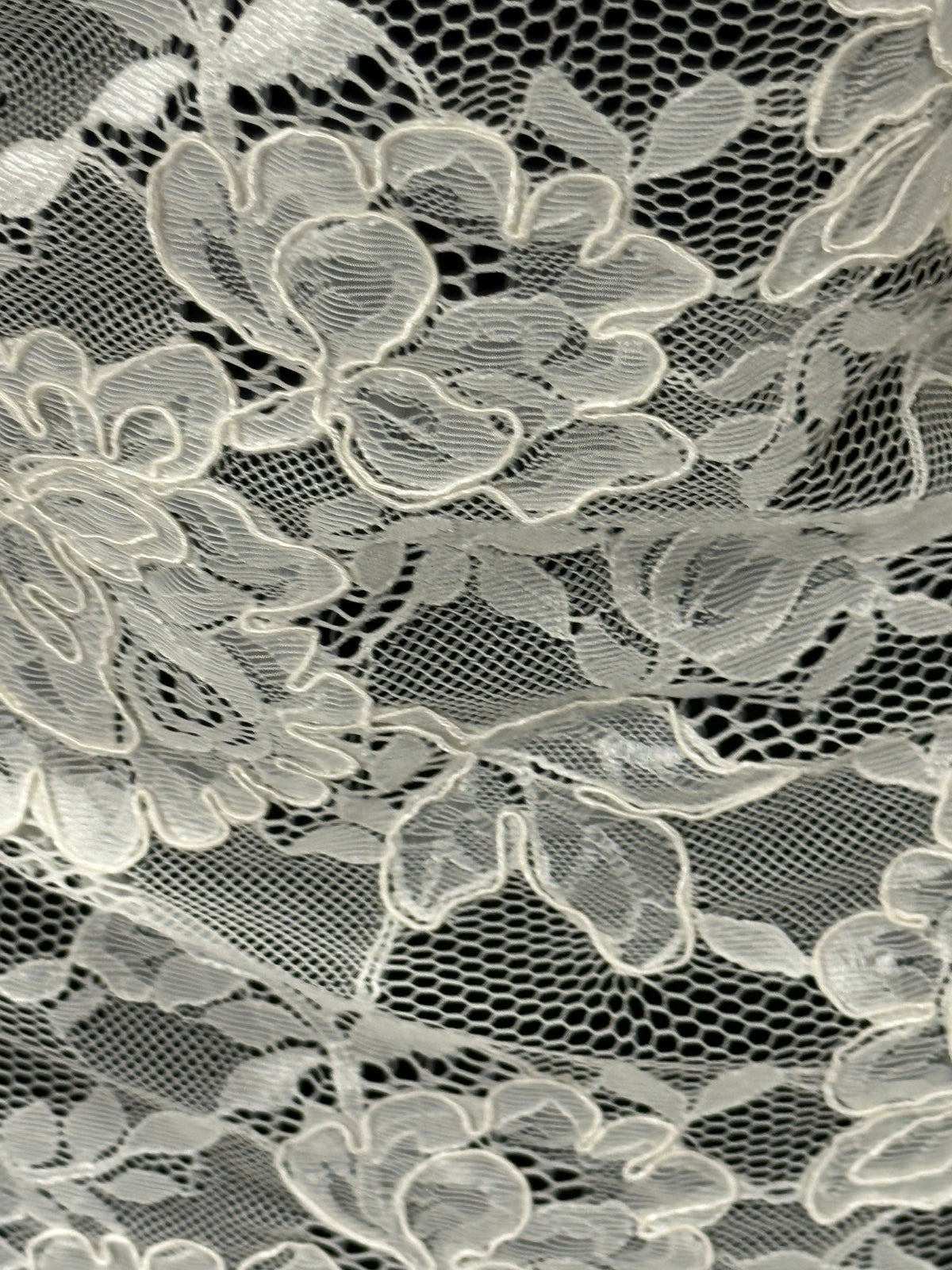 Ivory Corded Lace - P213